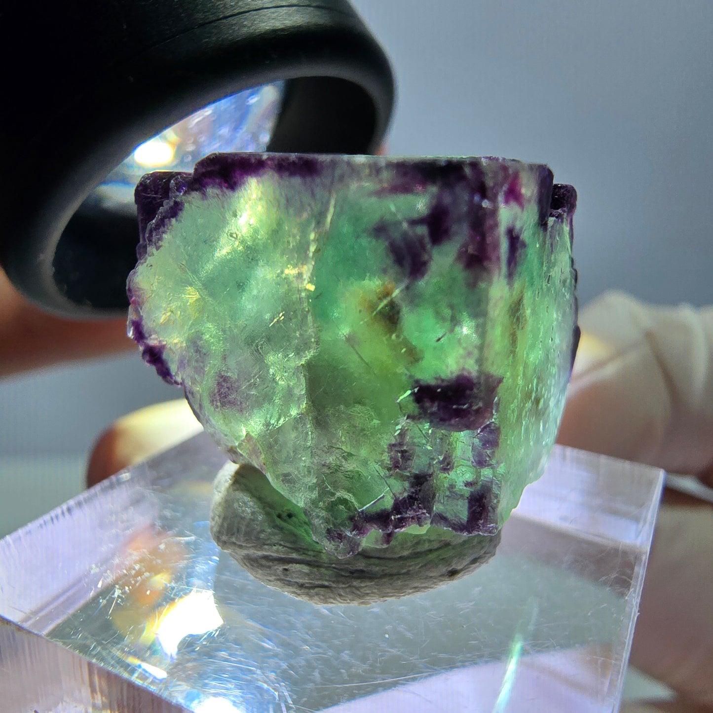 Phantom Fluorit Würfel Stufe, parkettiert, zonal Okorusu, Namibia 18*18*18mm