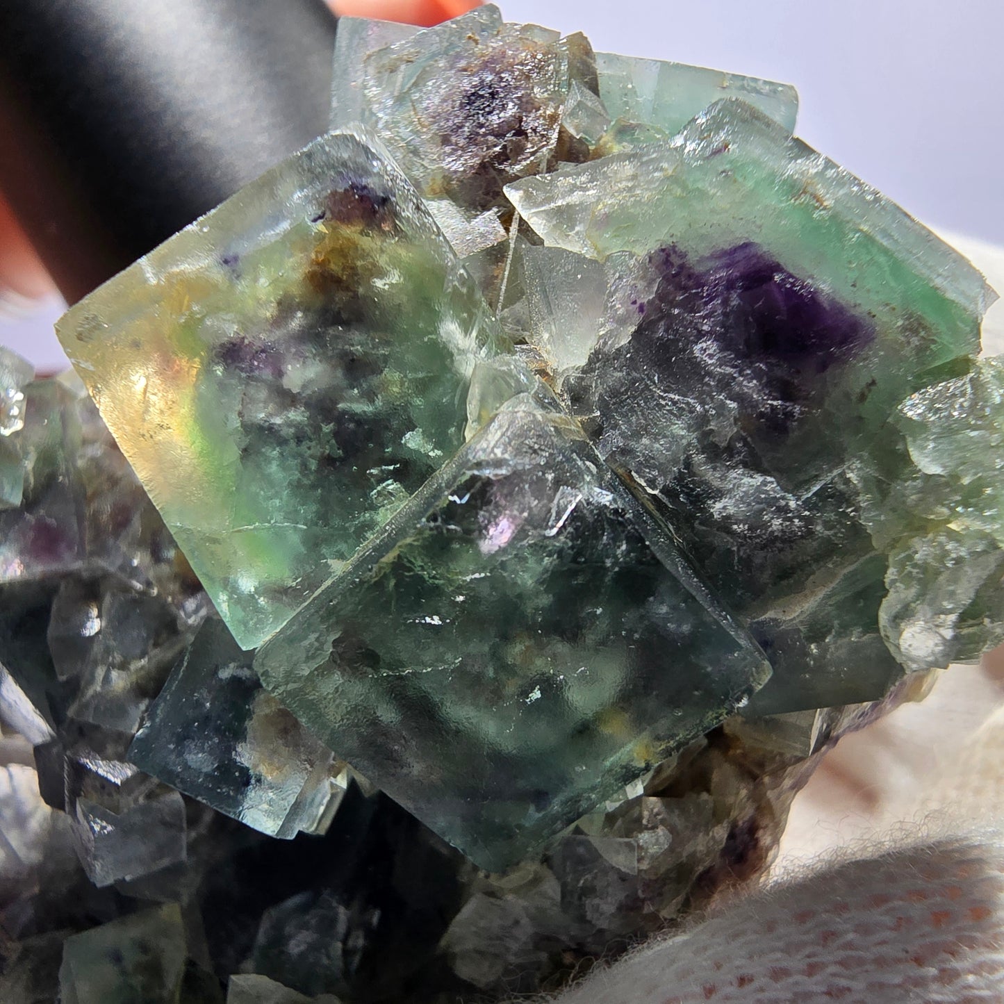 Rare spécimen de cube de fluorite fantôme, vert violet Okorusu Namibie 62*48*32mm