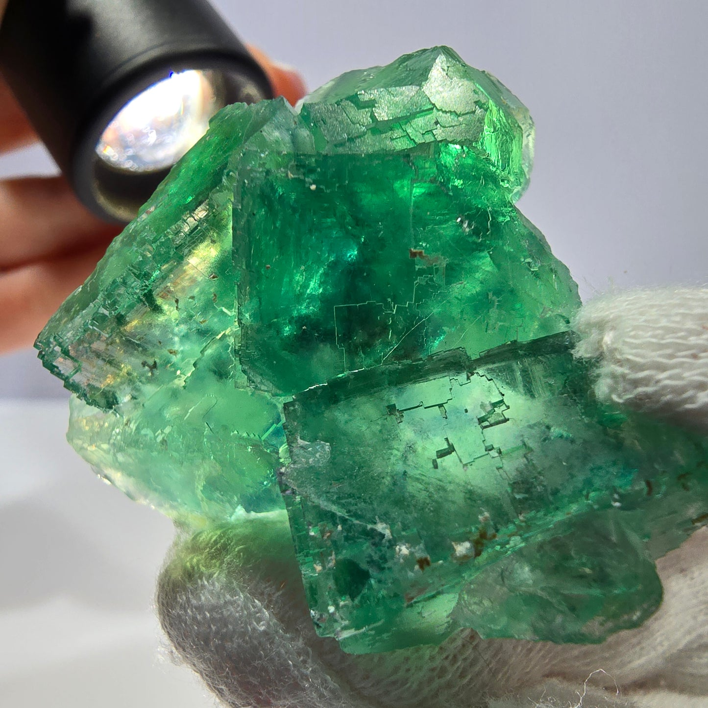 Rare spécimen de cube de fluorite fantôme, parqueté vert Okorusu, Namibie, 47 x 42 x 25 mm