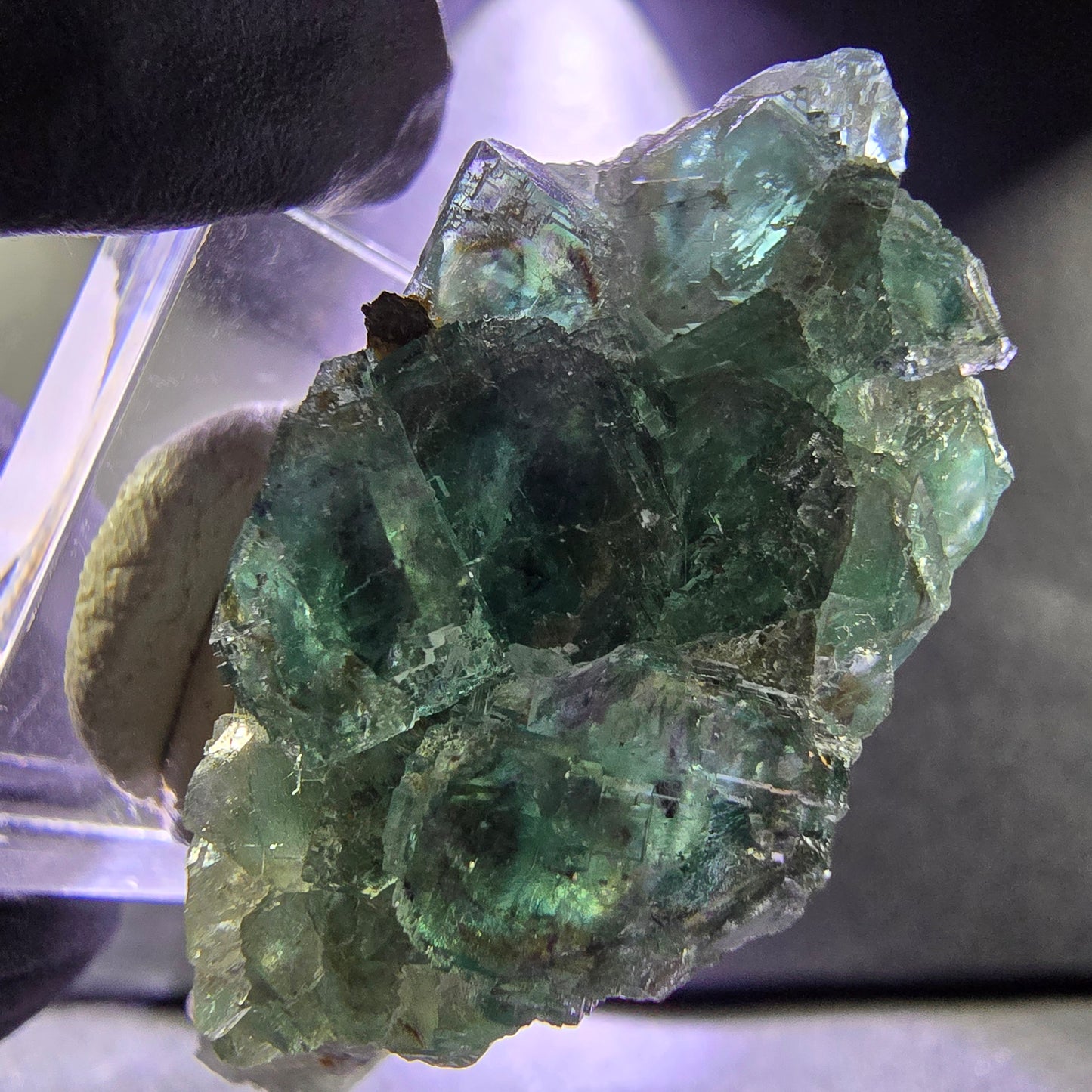 Seltene Phantom Fluorit XX Würfel Stufe grün lila 46*20*19mm aus Okorusu, Namibia