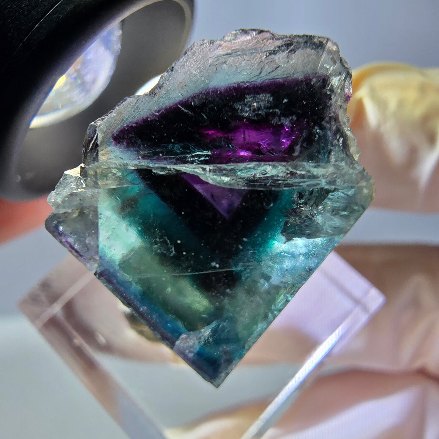 Phantom Fluorit Würfel parkettiert, grün lila Okorusu, Namibia 27*20*16mm