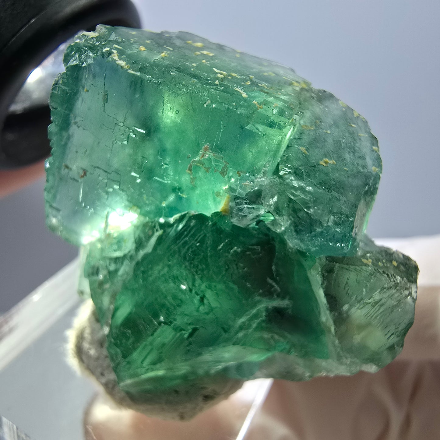 Spécimen de cube de fluorite fantôme, parquet vert Okorusu, Namibie 36 x 36 x 18 mm