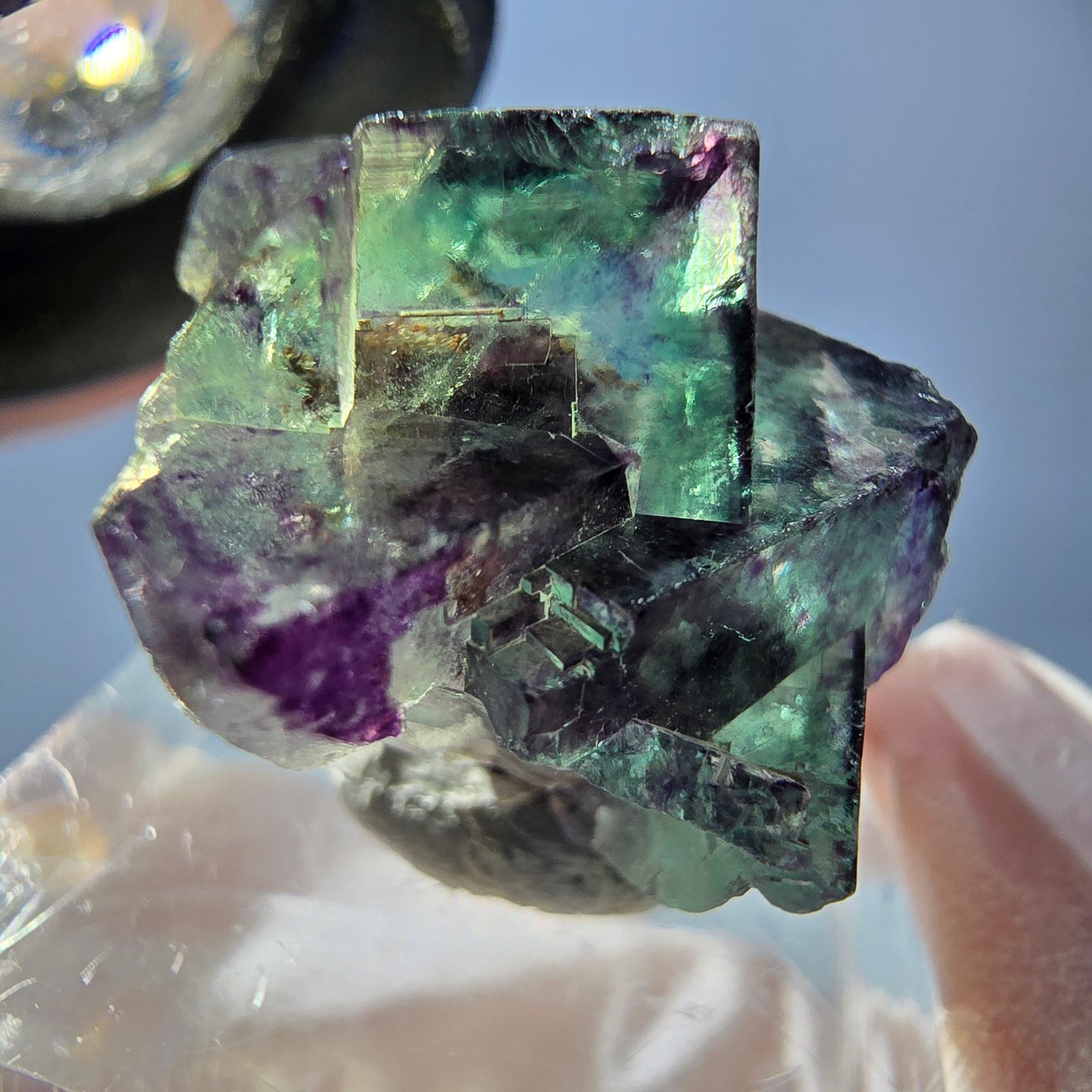 Spécimen de cube de fluorite fantôme, parqueté vert violet Okorusu, Namibie 28*21*15 mm