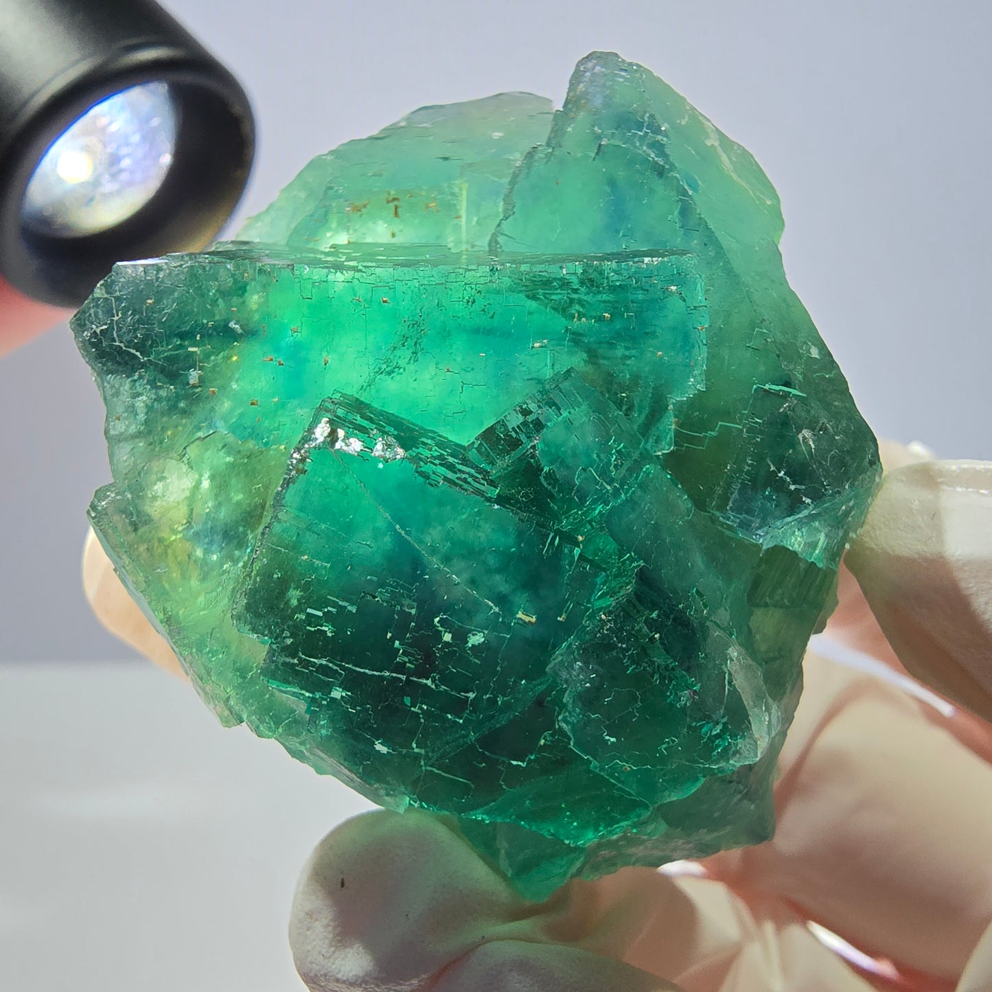 Spécimen de cube de fluorite fantôme transparente, vert parqueté, Okorusu, Namibie, 51 x 40 x 26 mm