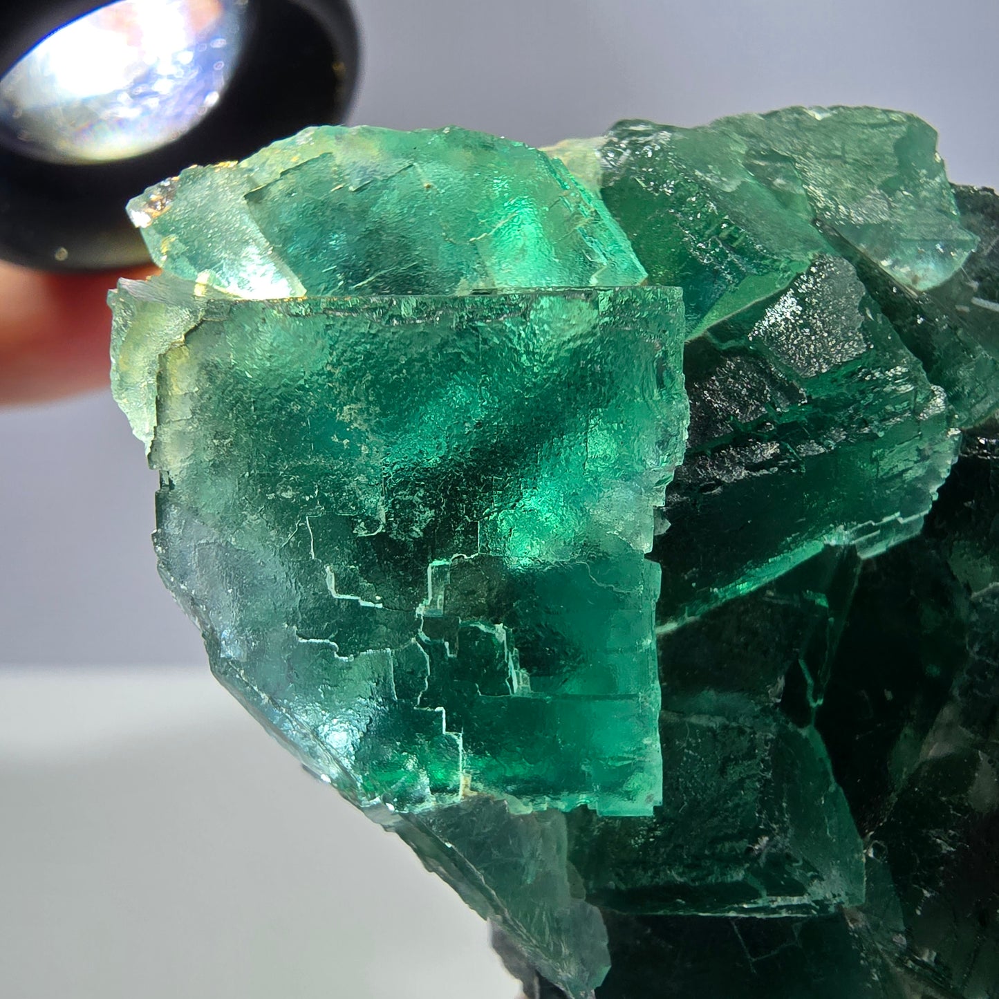Rare spécimen de cube de fluorite fantôme, parqueté vert Okorusu, Namibie, 61 x 48 x 24 mm