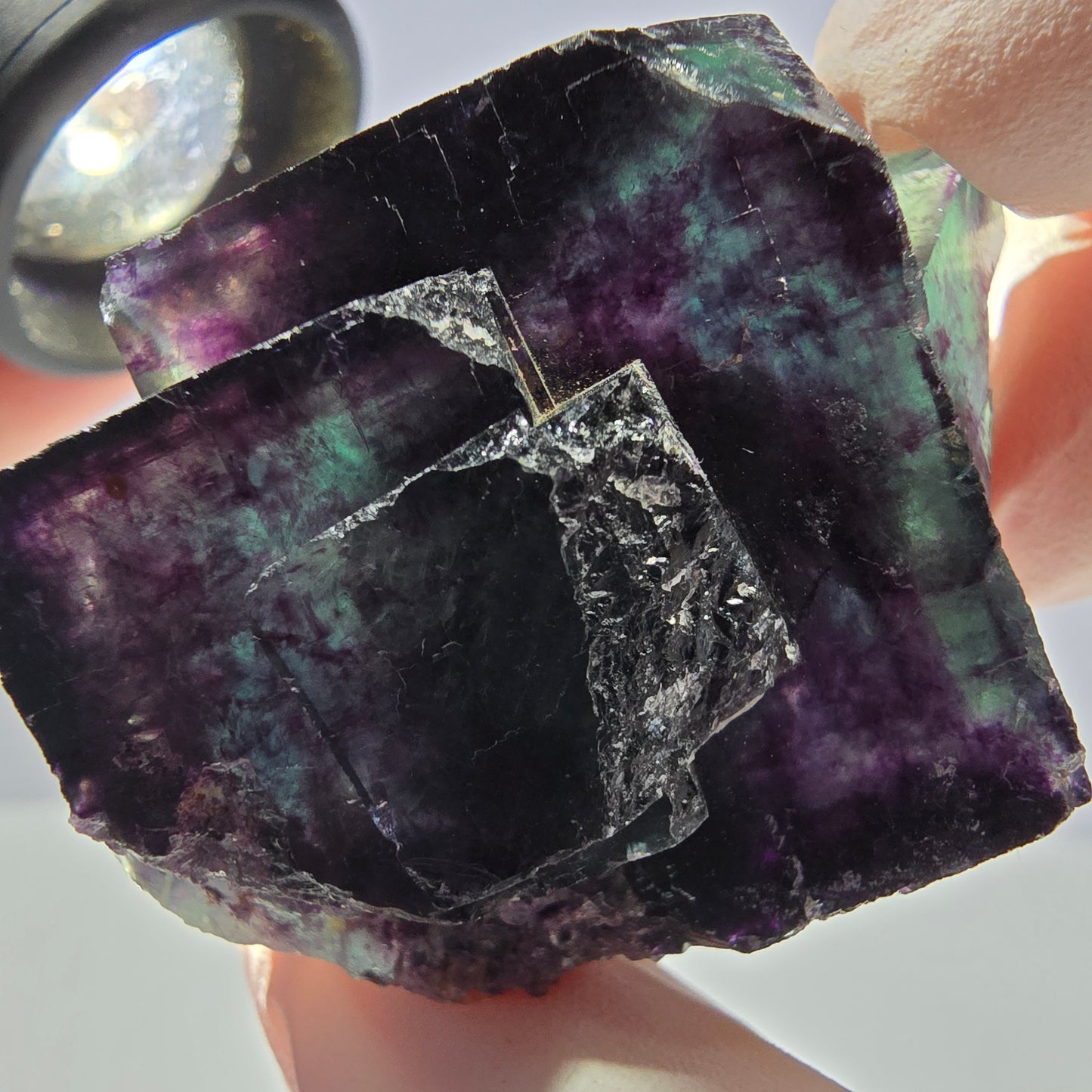 Spécimen de cube de fluorite fantôme parqueté vert violet Okorusu, Namibie 45*34*22mm
