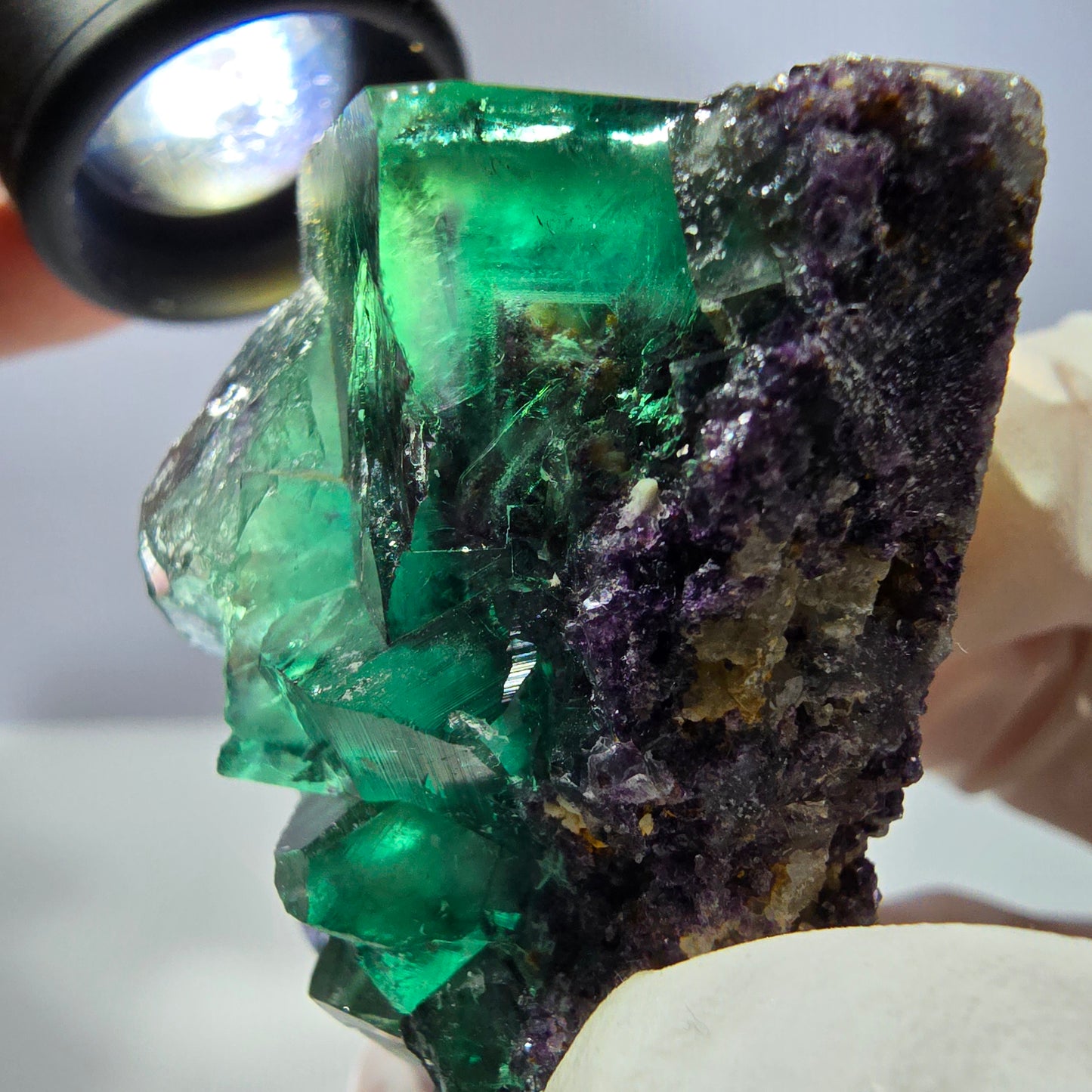 Spécimen de cube de fluorite fantôme, parqueté vert violet Okorusu, Namibie 50*43*30 mm