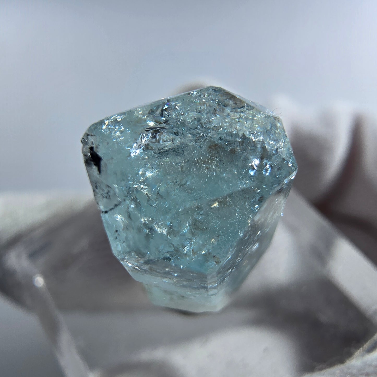 Aigue-marine Setlene, spécimen de tourmaline Schorl, Erongo, Namibie, 23 x 11 x 9 mm