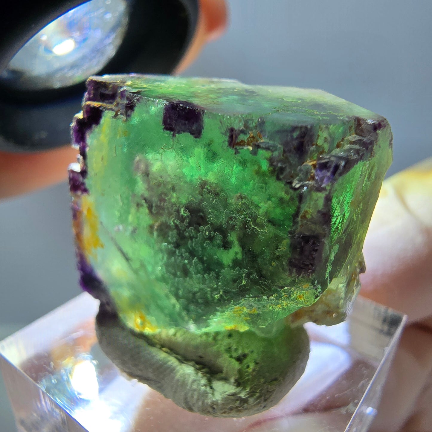 Cube de fluorite fantôme parqueté, zonal, vert violet Okorusu, Namibie 24*22*17mm