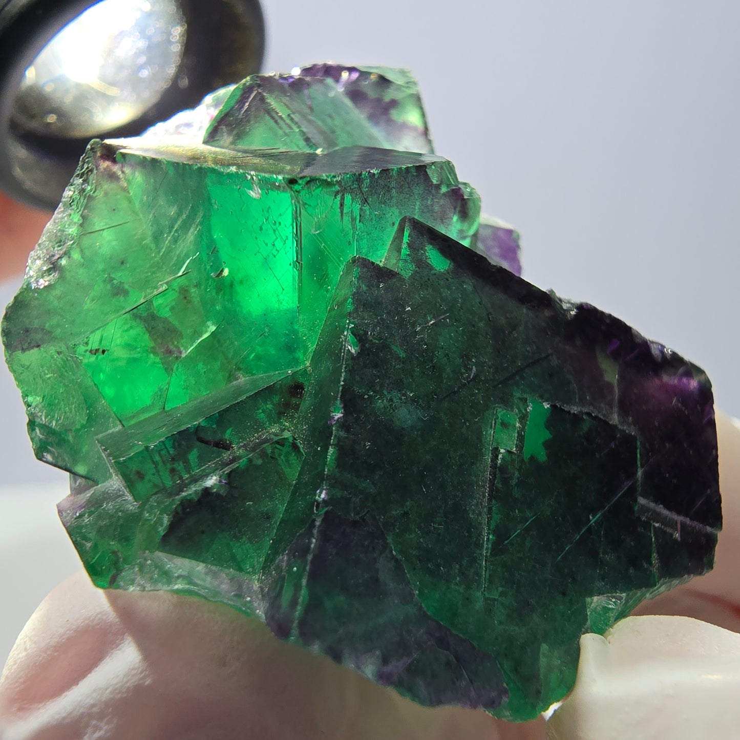 Spécimen de cube de fluorite fantôme parqueté vert violet Okorusu, Namibie 49*41*29mm