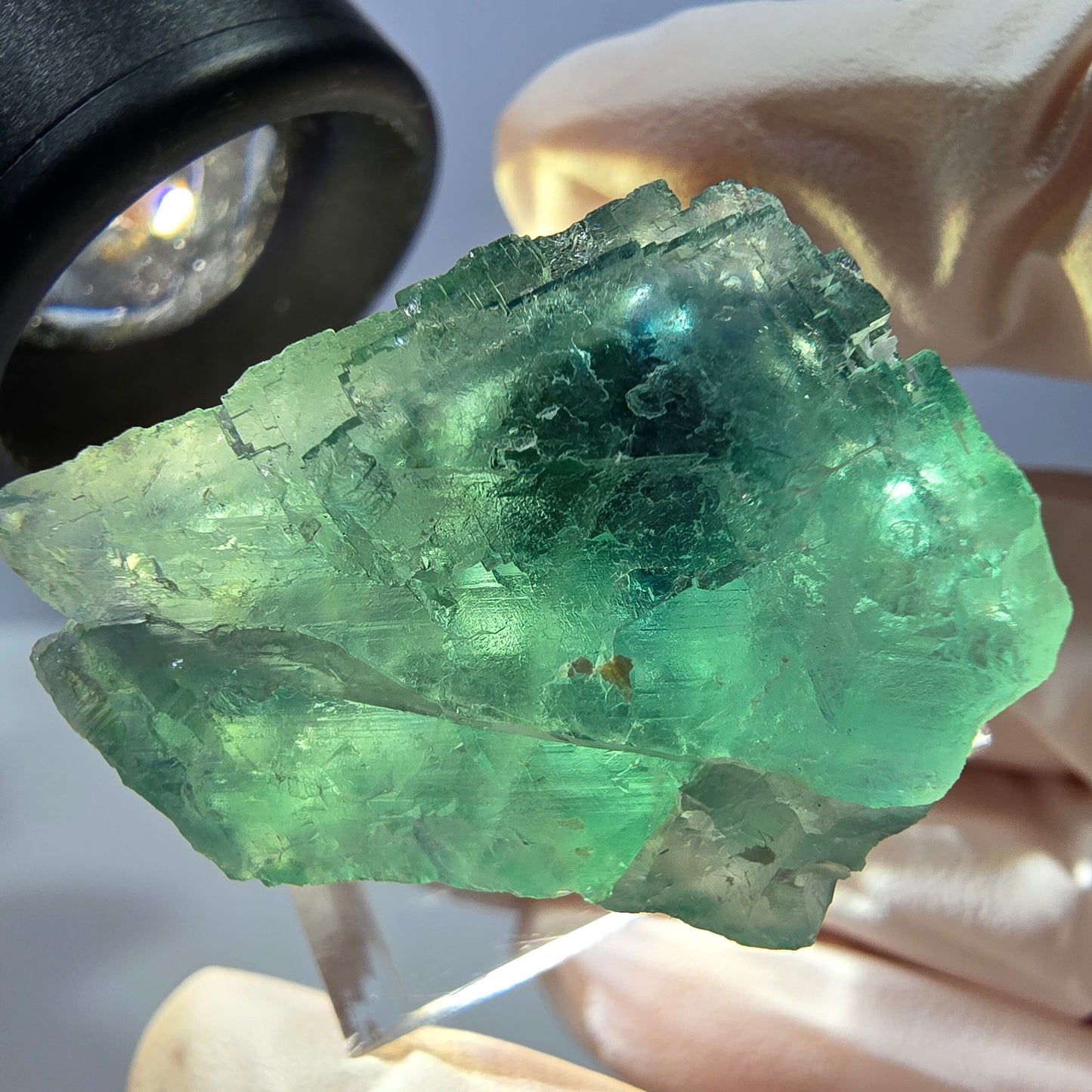 Cube de fluorite fantôme transparente parquetée, vert Okorusu, Namibie 28 x 23 x 18 mm