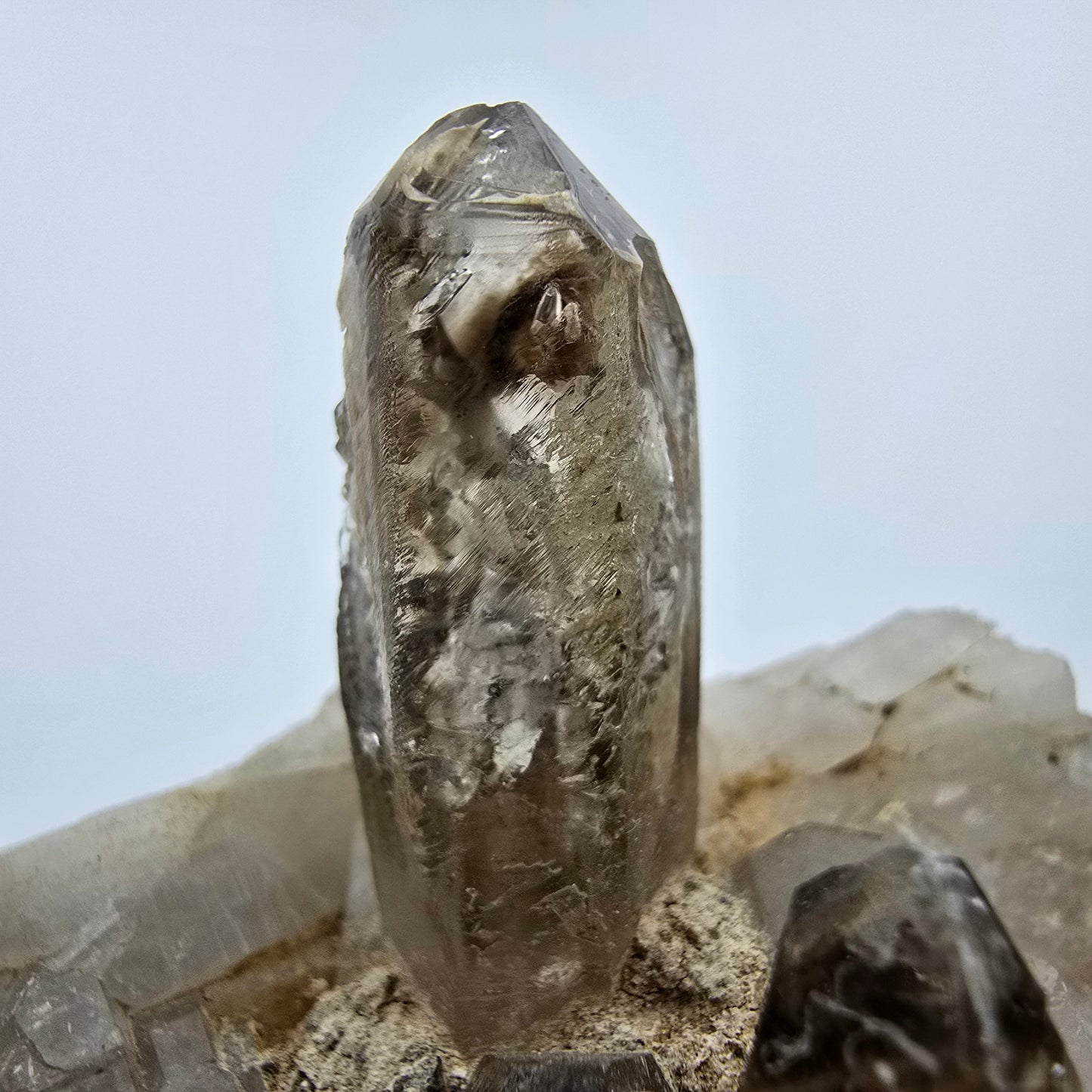 Phantom Rauchquarz Zepter auf Matrix Goboboseb, Namibia 57*51*47mm Sammlung