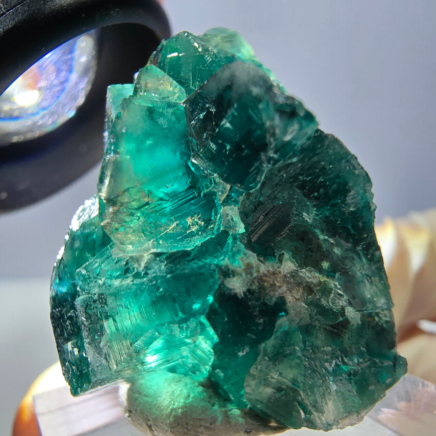 Spécimen de cube de fluorite fantôme, parquet vert Okorusu, Namibie 37 x 29 x 20 mm