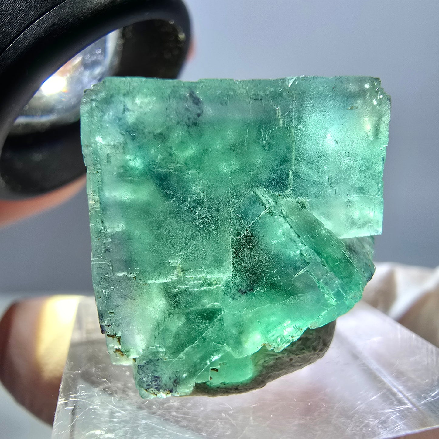 Spécimen de cube de fluorite fantôme, parquet vert Okorusu, Namibie 22 x 21 x 16 mm