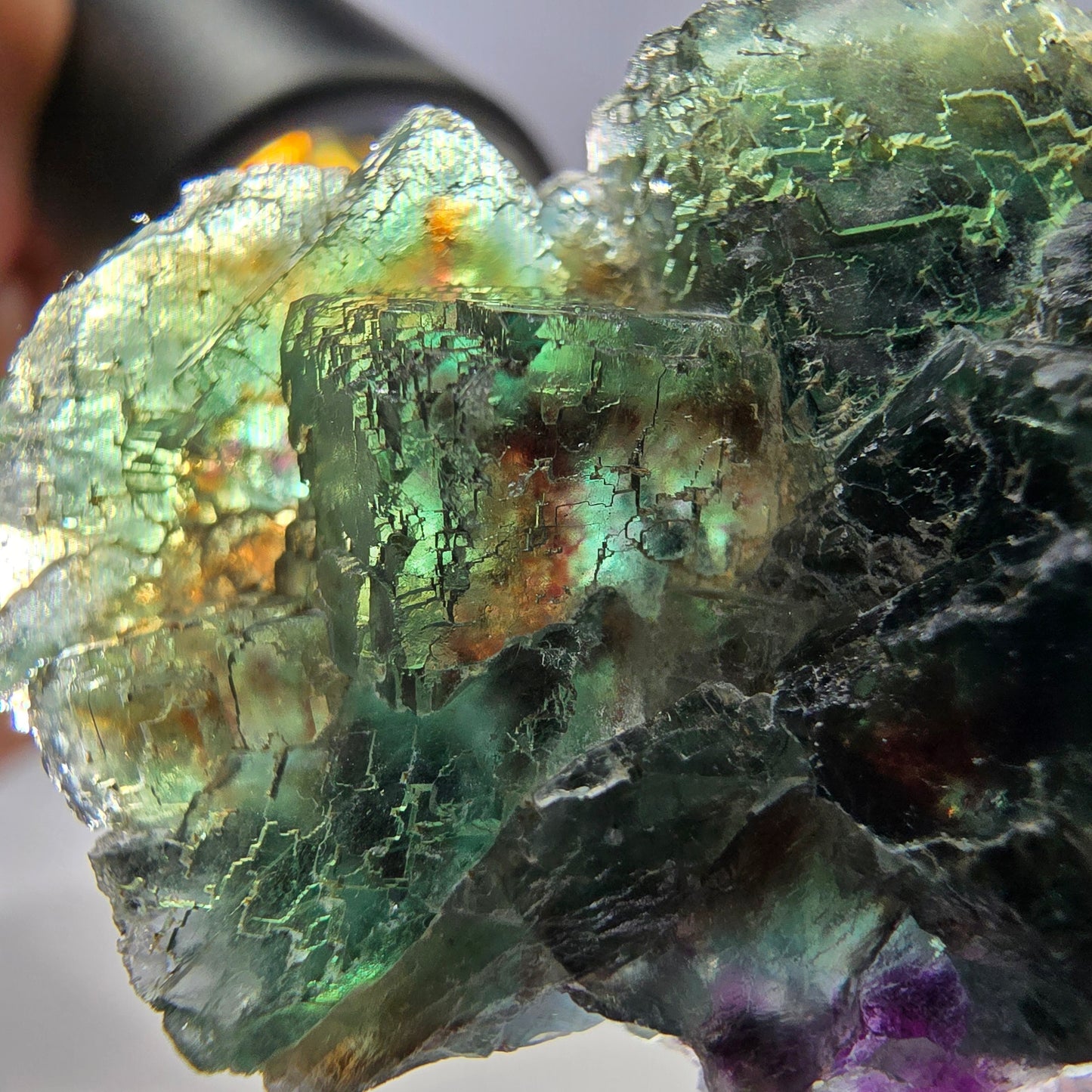 Rare spécimen de cube de fluorite fantôme, parqueté vert Okorusu, Namibie, 52 x 29 x 18 mm