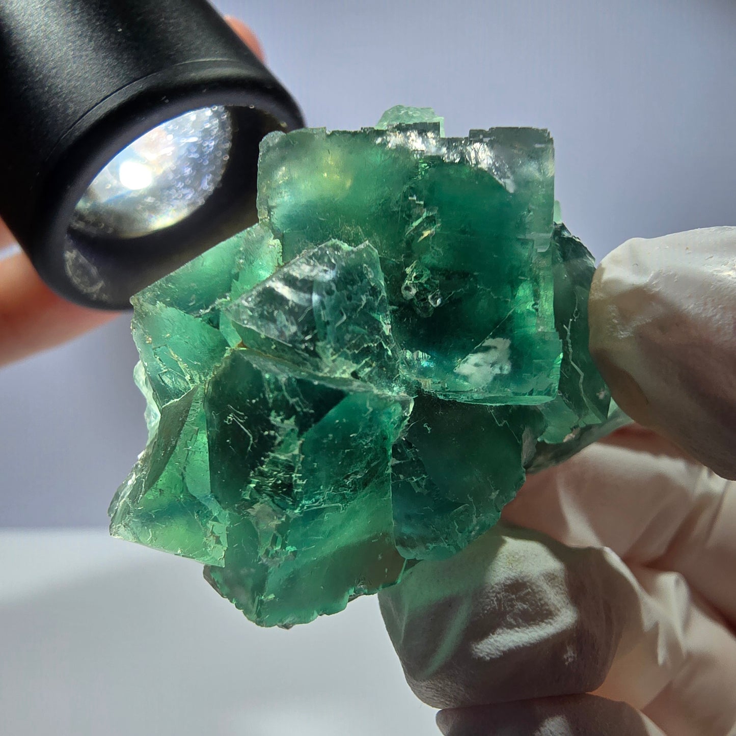 Spécimen de cube de fluorite fantôme transparente, vert parqueté, Okorusu, Namibie, 46 x 31 x 30 mm