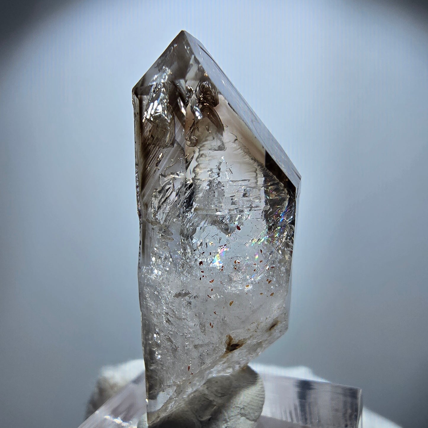 Enhydro Phantom Rauchquarz Zepter, 1x Blase Goboboseb, Namibia 41*17*14mm