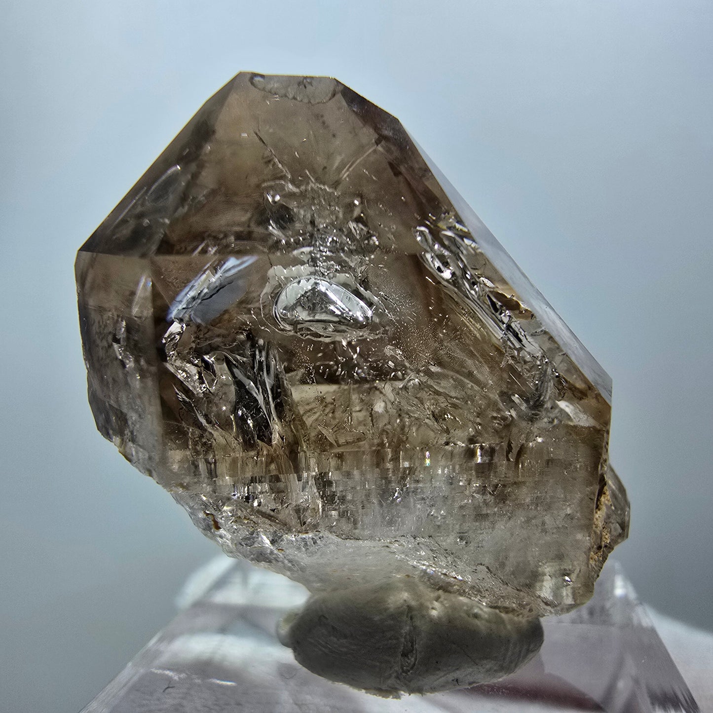 Enhydro Phantom Rauchquarz Zepter, 1x Blase Goboboseb, Namibia 32*23*18mm