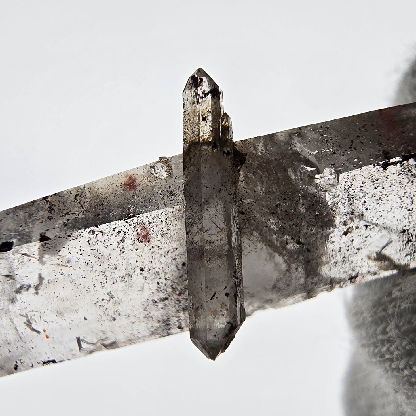 Sceptre de poche Saint-Valentin en quartz fumé fantôme squelette, Namibie 60 x 18 x 14 mm