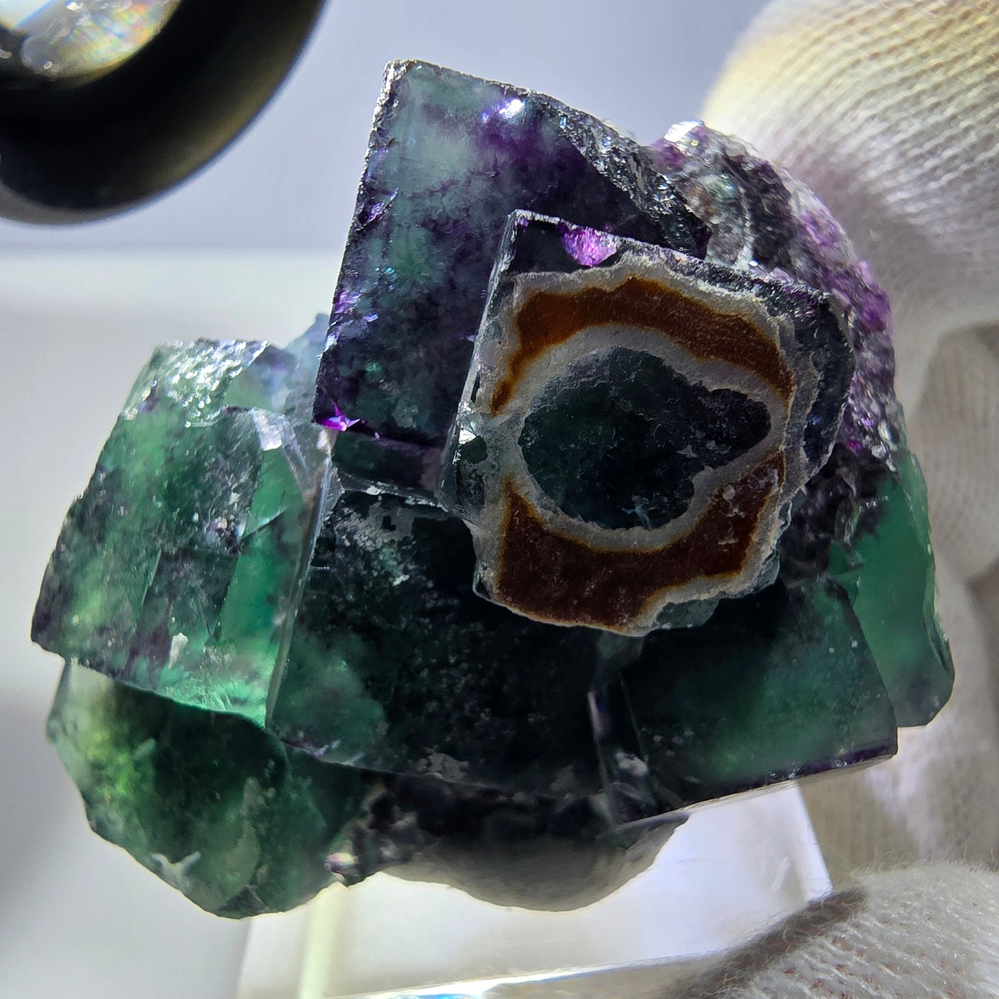 Seltene Phantom Fluorit Würfel Stufe zonal grün lila Okorusu, Namibia 50*37*20mm