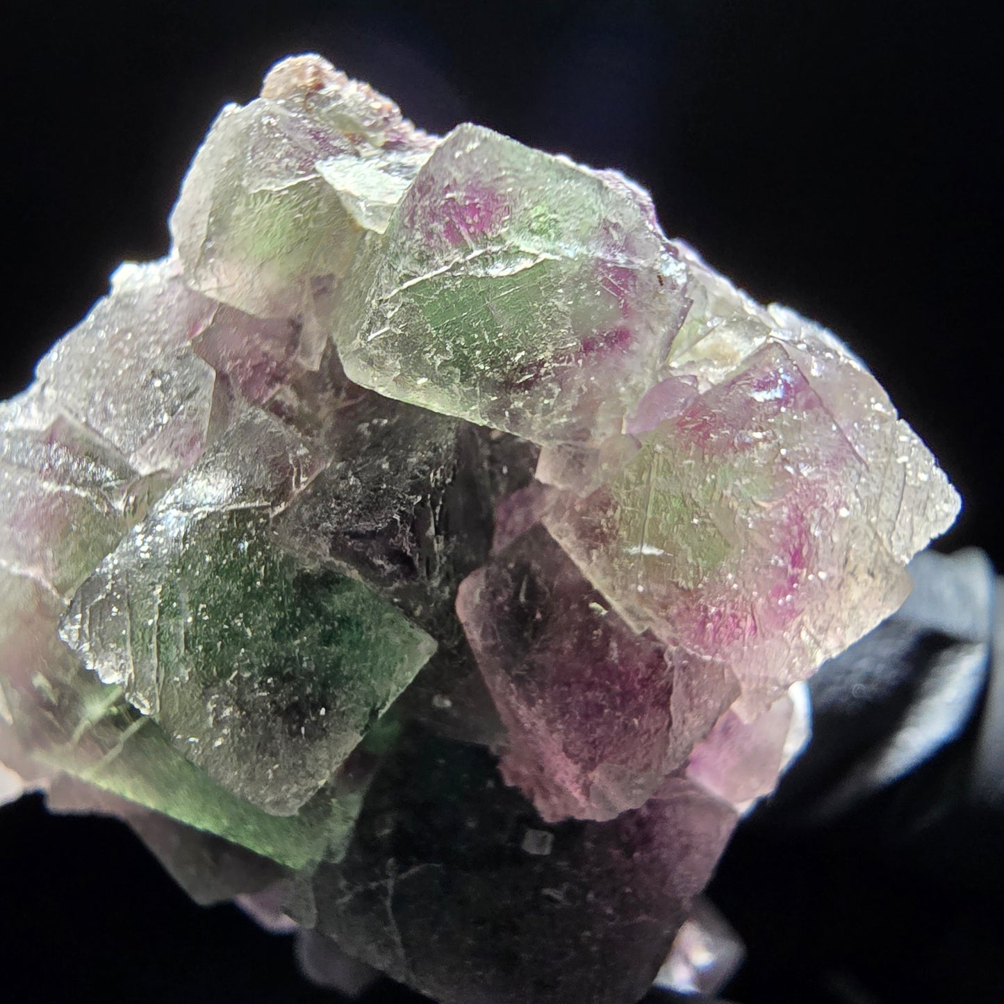 Phantom Fluorite Cube Tier Violet Vert Blanc Erongo, Namibie 55*35*21mm Collection