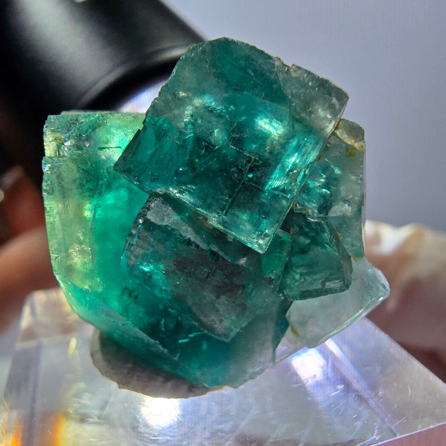 Spécimen de cube de fluorite fantôme, parquet vert Okorusu, Namibie 30*22*20 mm