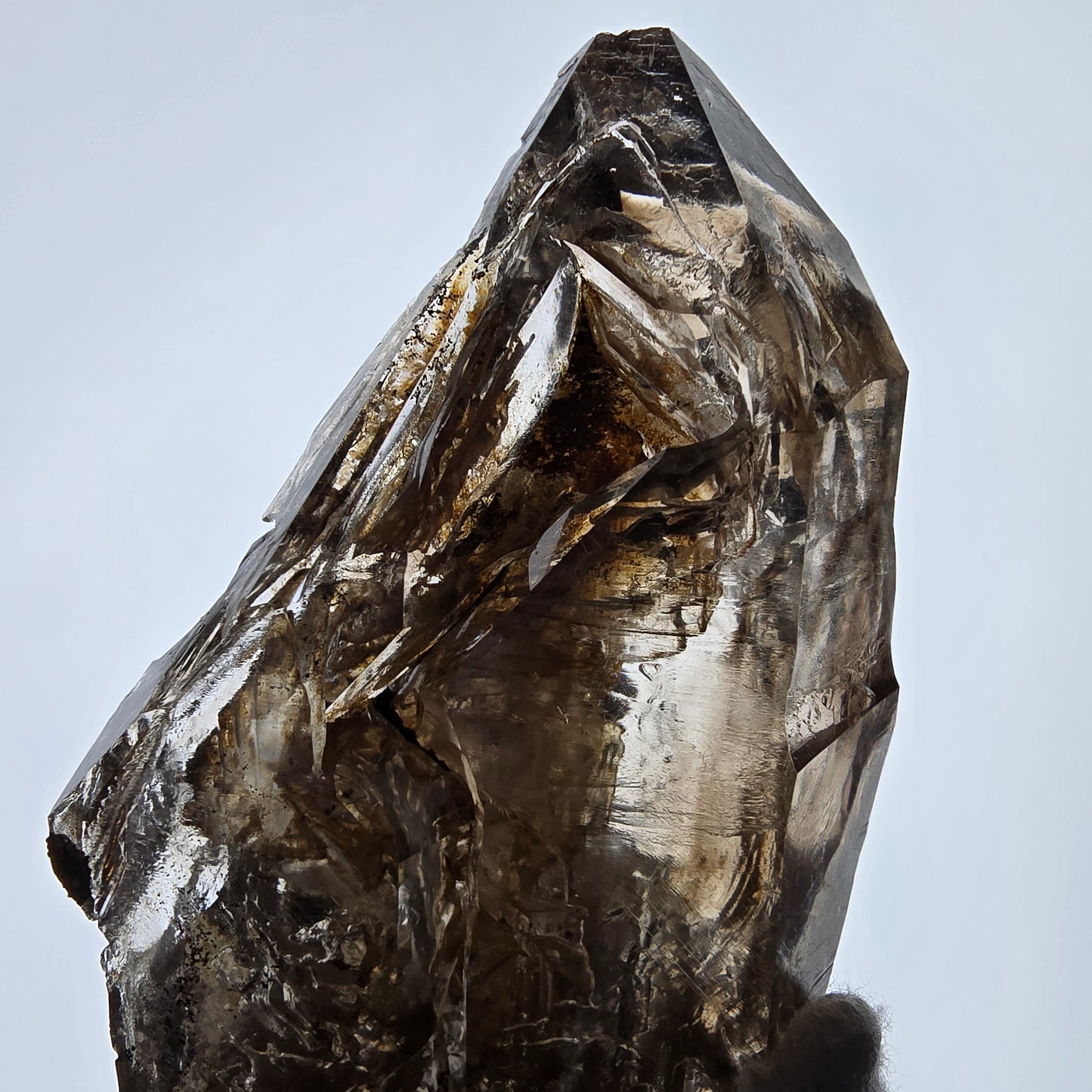 Sceptre DT en quartz fumé squelette Enhydro, 1x pochette Saint-Valentin à bulles, Namibie 126 x 59 x 39 mm