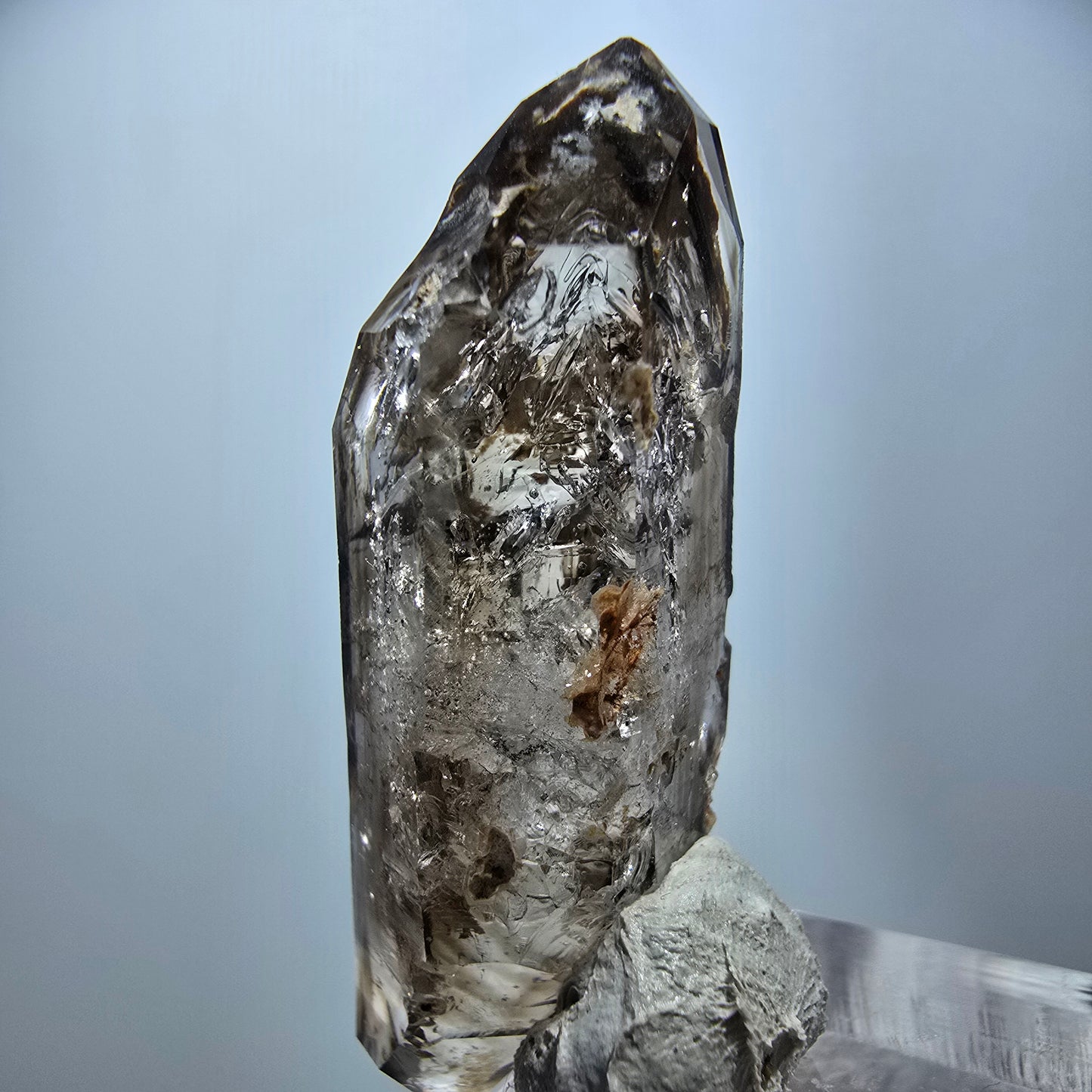 Klare Phantom Rauchquarz DT Zepter Kristall Goboboseb, Namibia 48*16*14mm