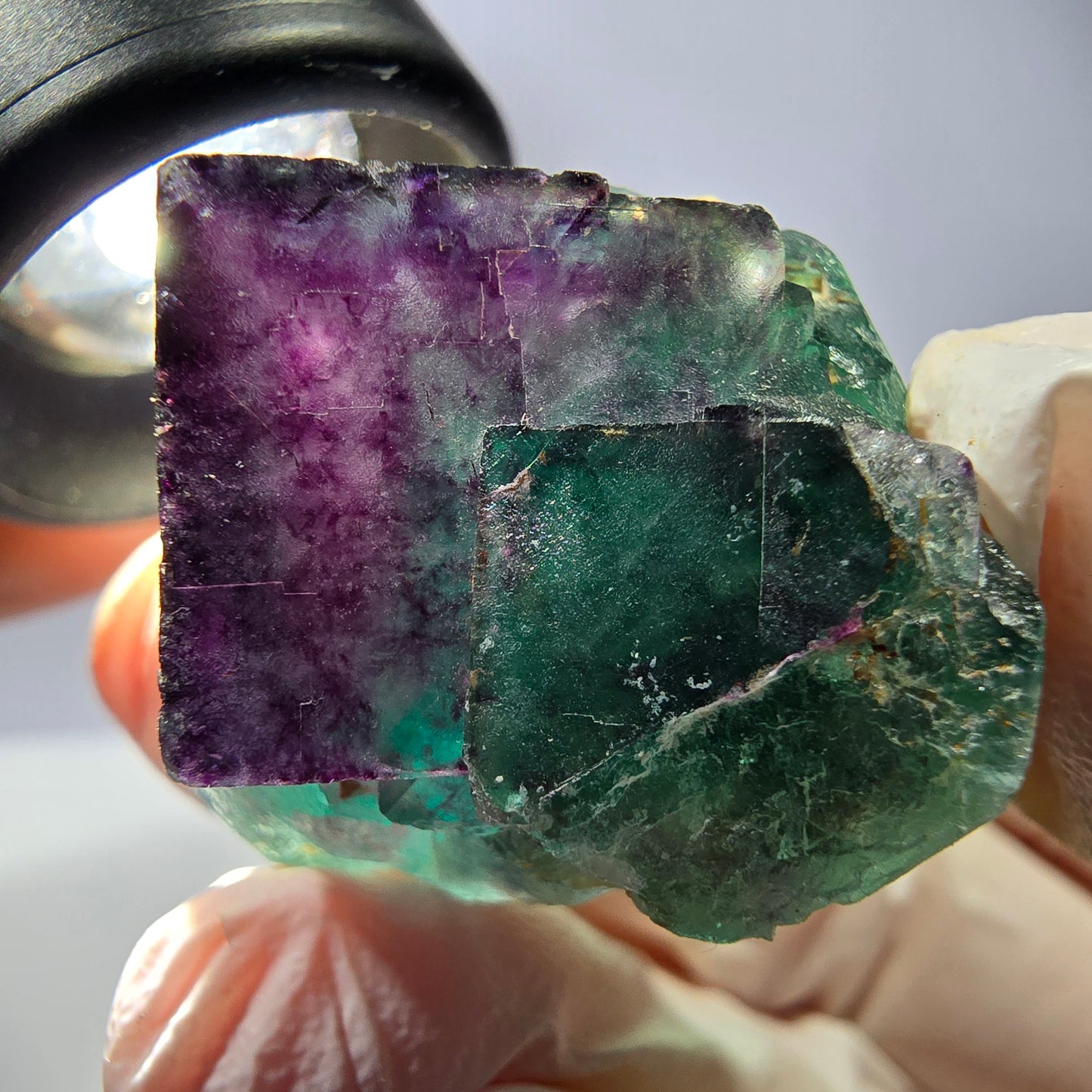 Spécimen de cube de fluorite fantôme, parqueté vert violet Okorusu, Namibie 37*31*25 mm