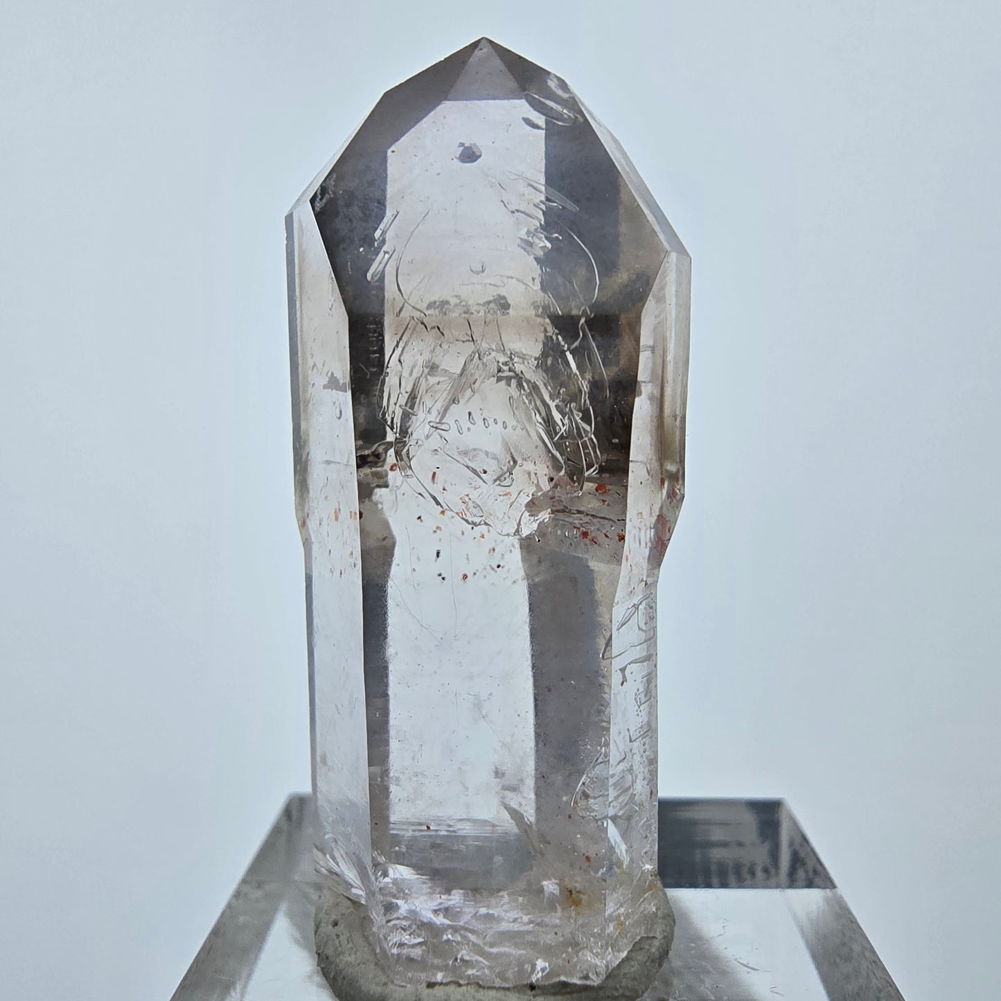 Enhydro Phantom Rauchquarz Lemurian Zepter 3x Blase Goboboseb Namibia 39*16*15mm