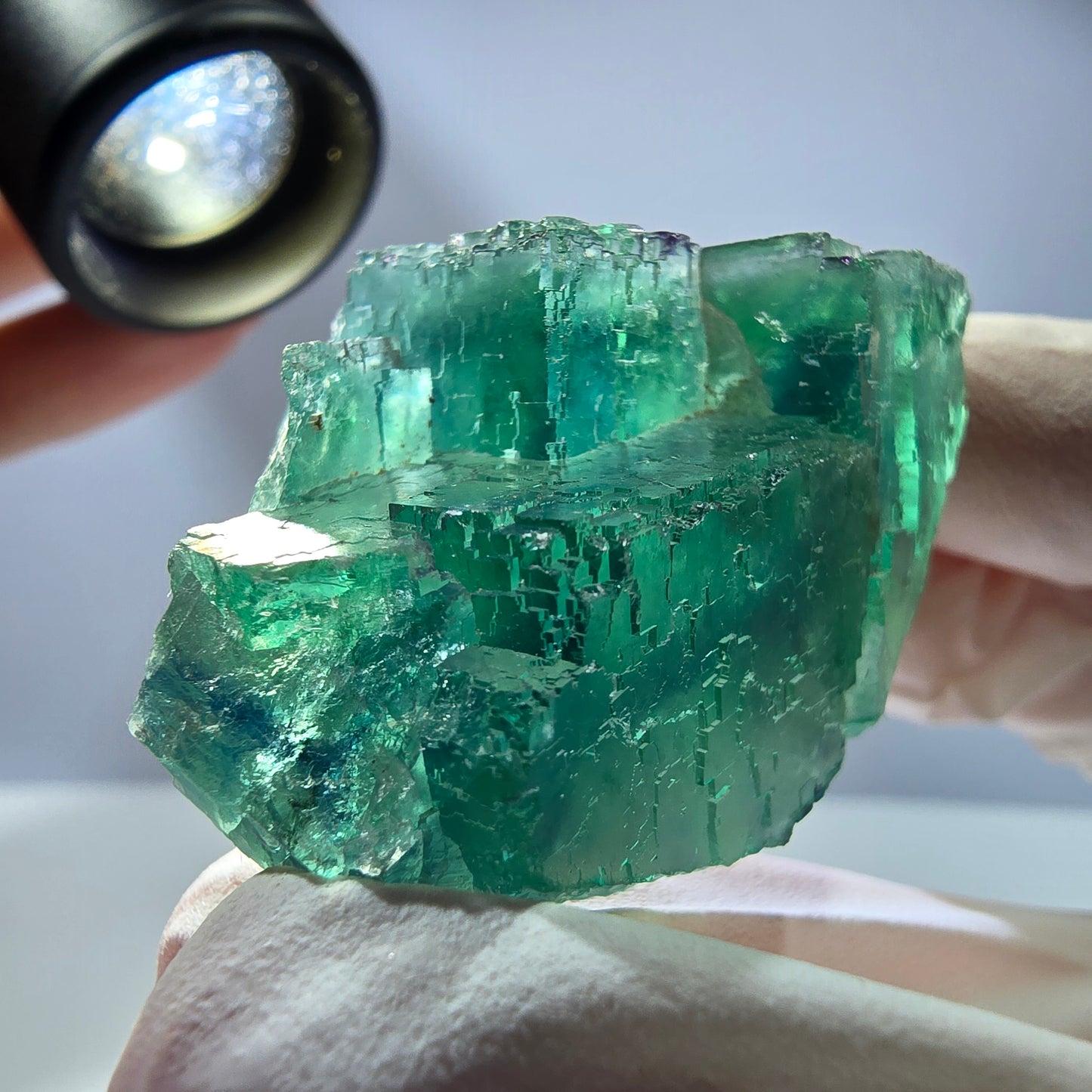 Spécimen de cube de fluorite fantôme transparente, vert parqueté, Okorusu, Namibie, 50 x 34 x 21 mm