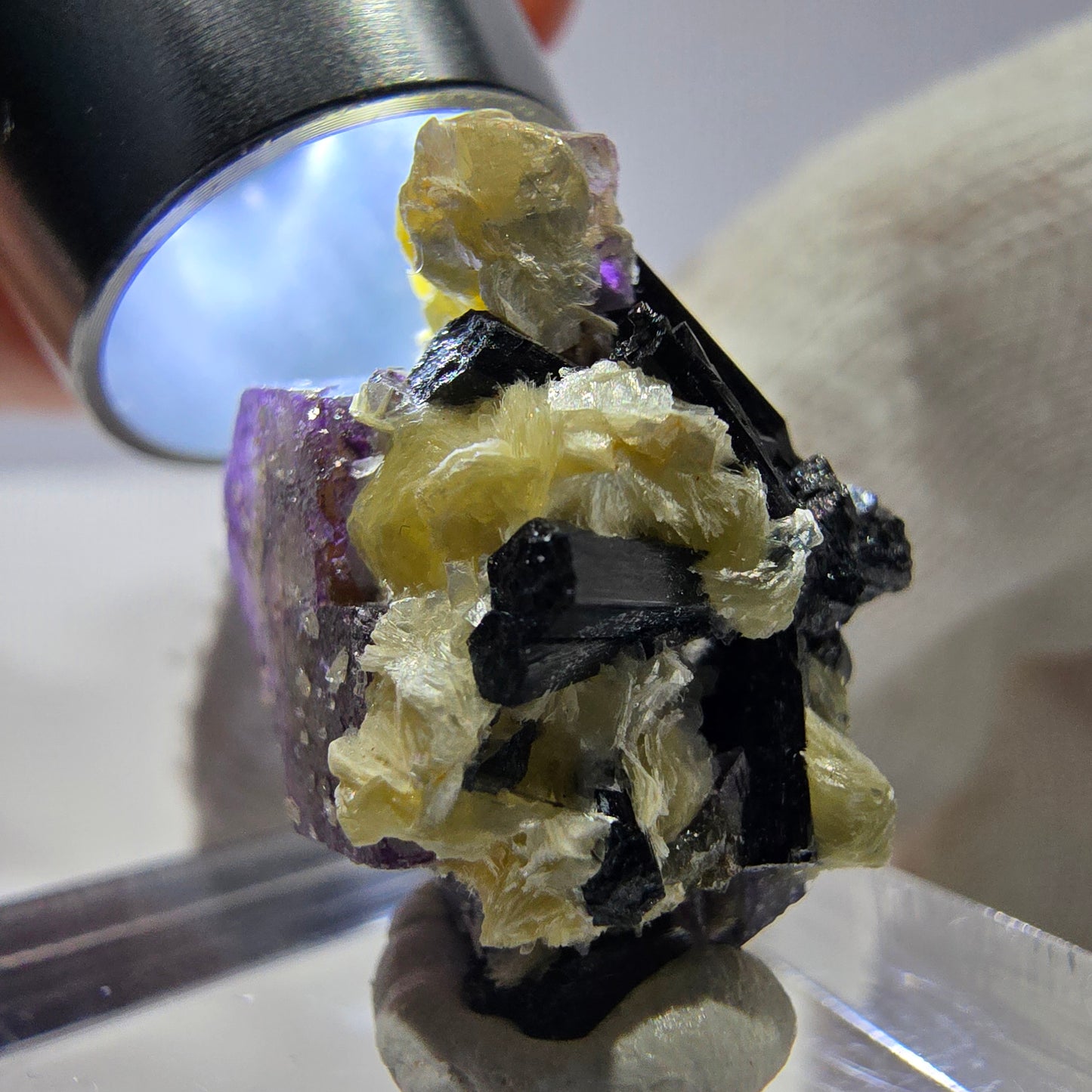 Spécimen de fluorite fantôme colorée, tourmaline scholle, muscovite, Erongo, Namibie, 25 x 20 x 16 mm