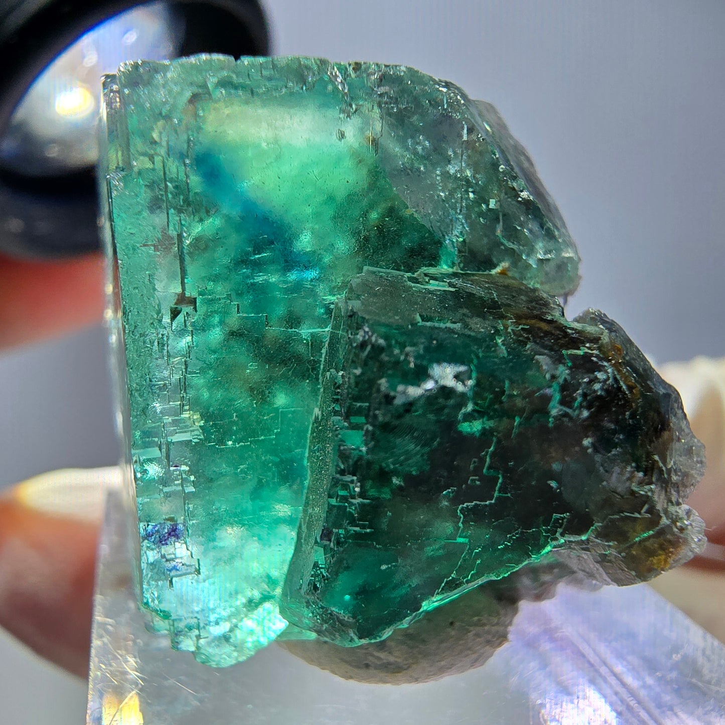 Phantom Fluorit Würfel Stufe, grün parkettiert Okorusu, Namibia 30*24*23mm