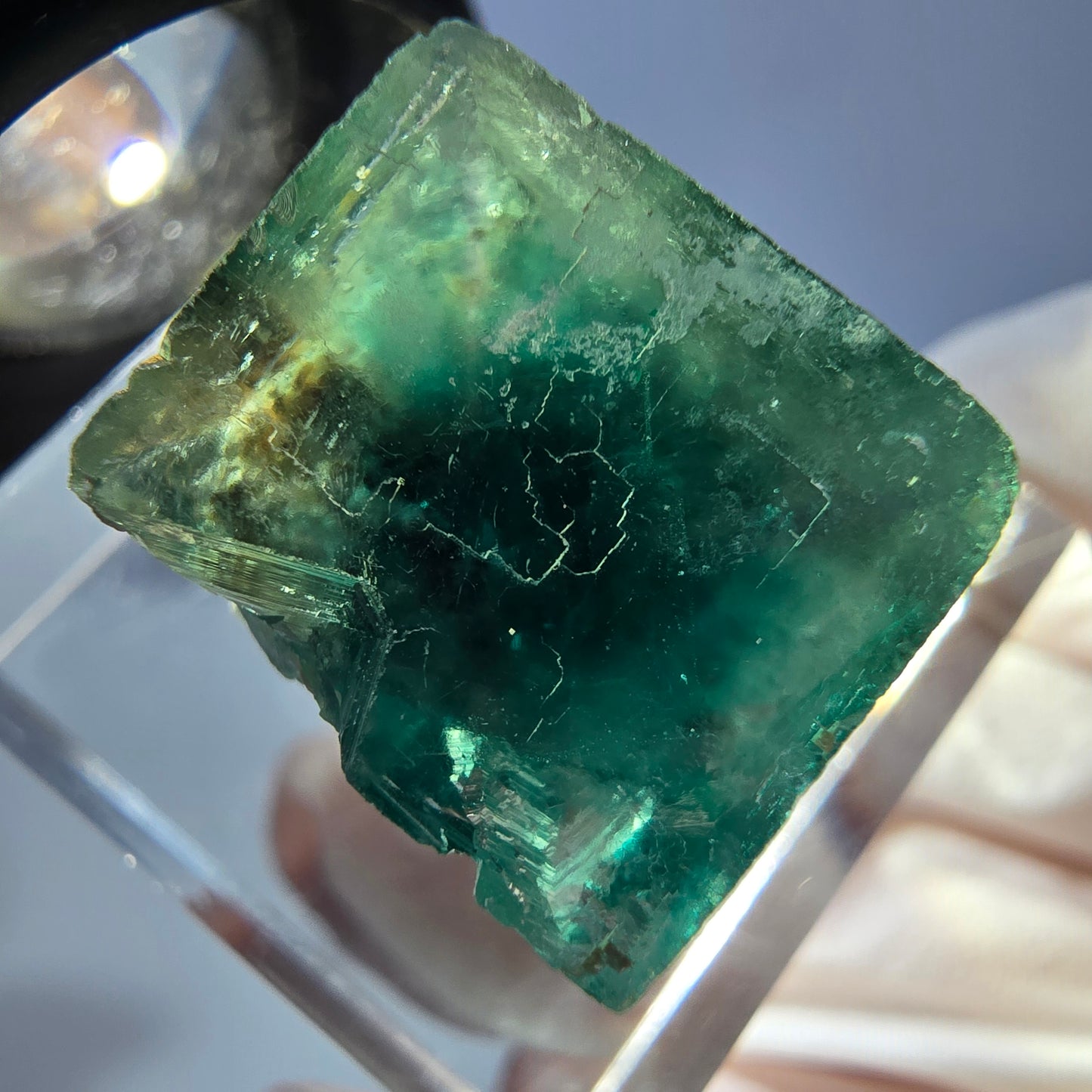 Cube de fluorite fantôme transparente parquetée, vert Okorusu, Namibie 15 x 15 x 13 mm