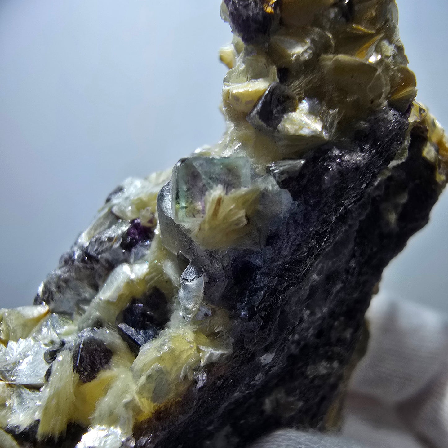Cubes de fluorite fantôme colorés, spécimen de muscovite, Erongo, Namibie, 79 x 62 x 25 mm
