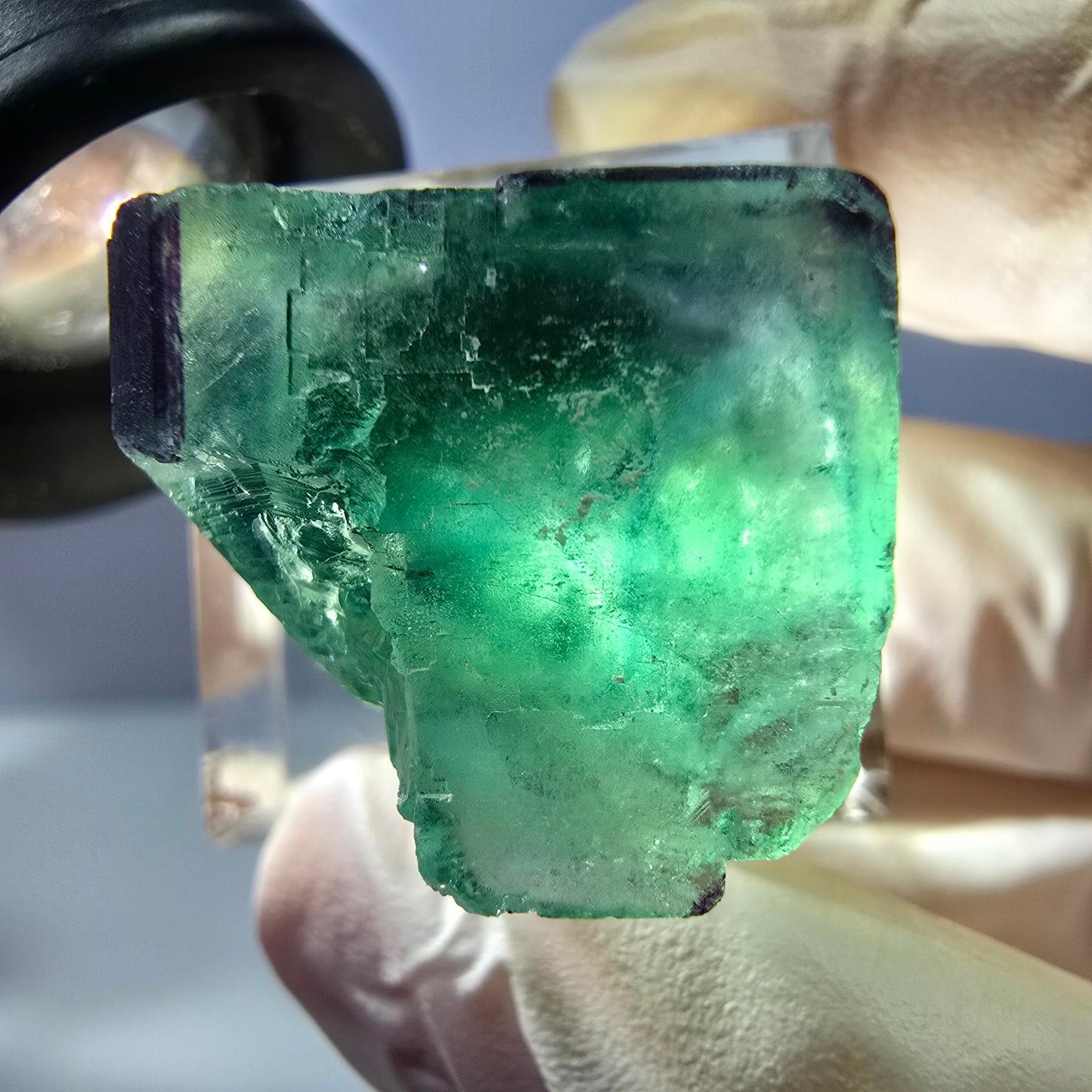 Phantom Fluorit Würfel parkettiert, grün lila Okorusu, Namibia 20*21*19mm