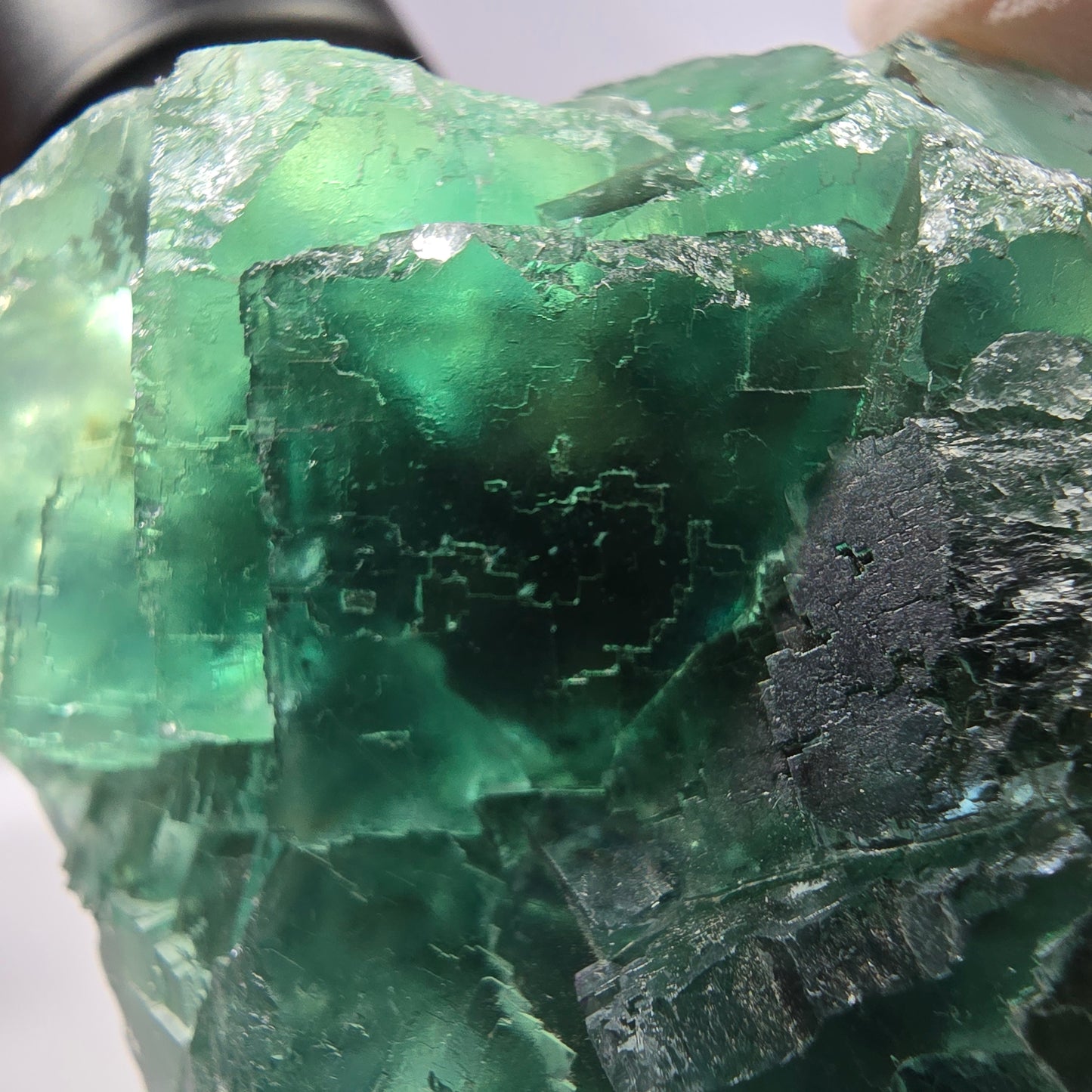 Spécimen de cube de fluorite fantôme transparente, vert parqueté, Okorusu, Namibie, 77 x 54 x 38 mm