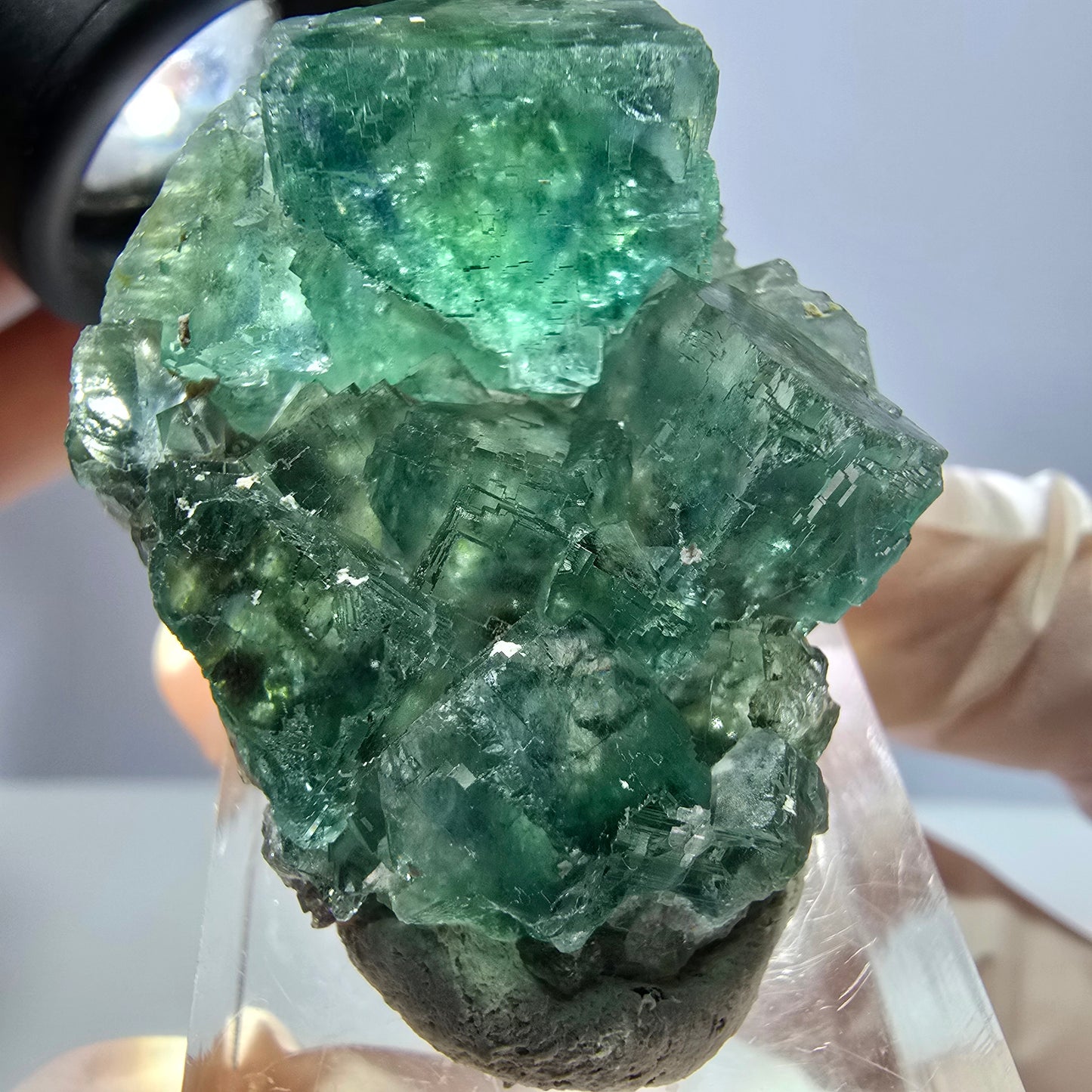 Phantom Fluorit Würfel Stufe, grün parkettiert Okorusu, Namibia 38*28*16mm