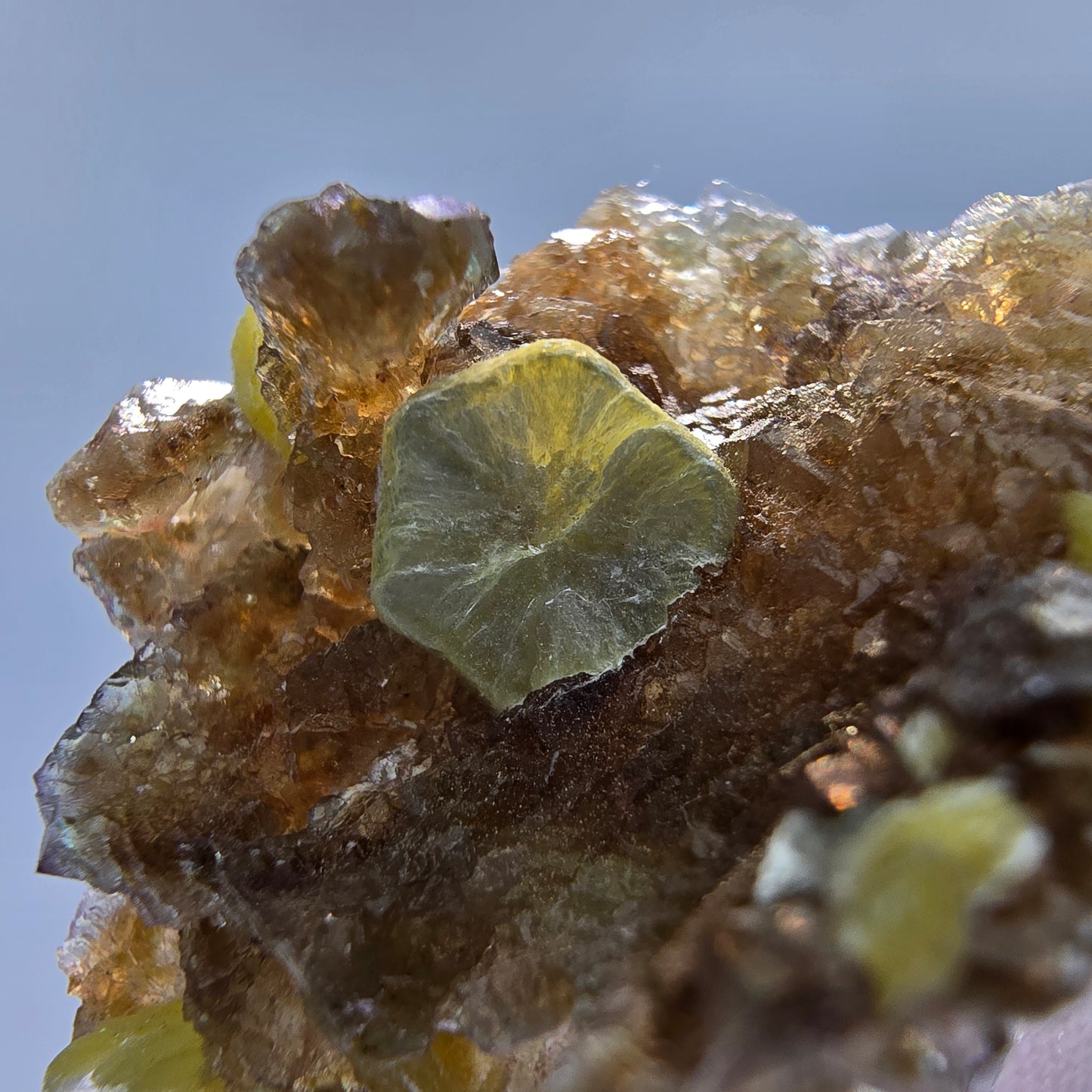 Phantom Fluorit Würfel grün braun, Muskovit Stufe Erongo, Namibia 34*25*17mm
