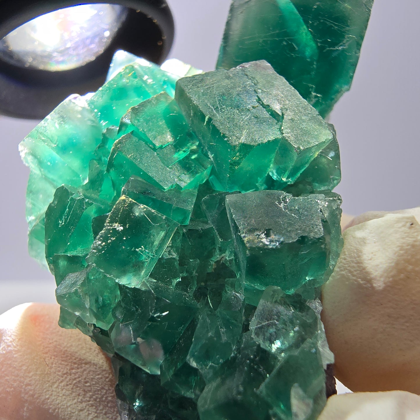Rare spécimen de cube de fluorite fantôme, parqueté vert Okorusu, Namibie, 62 x 32 x 26 mm