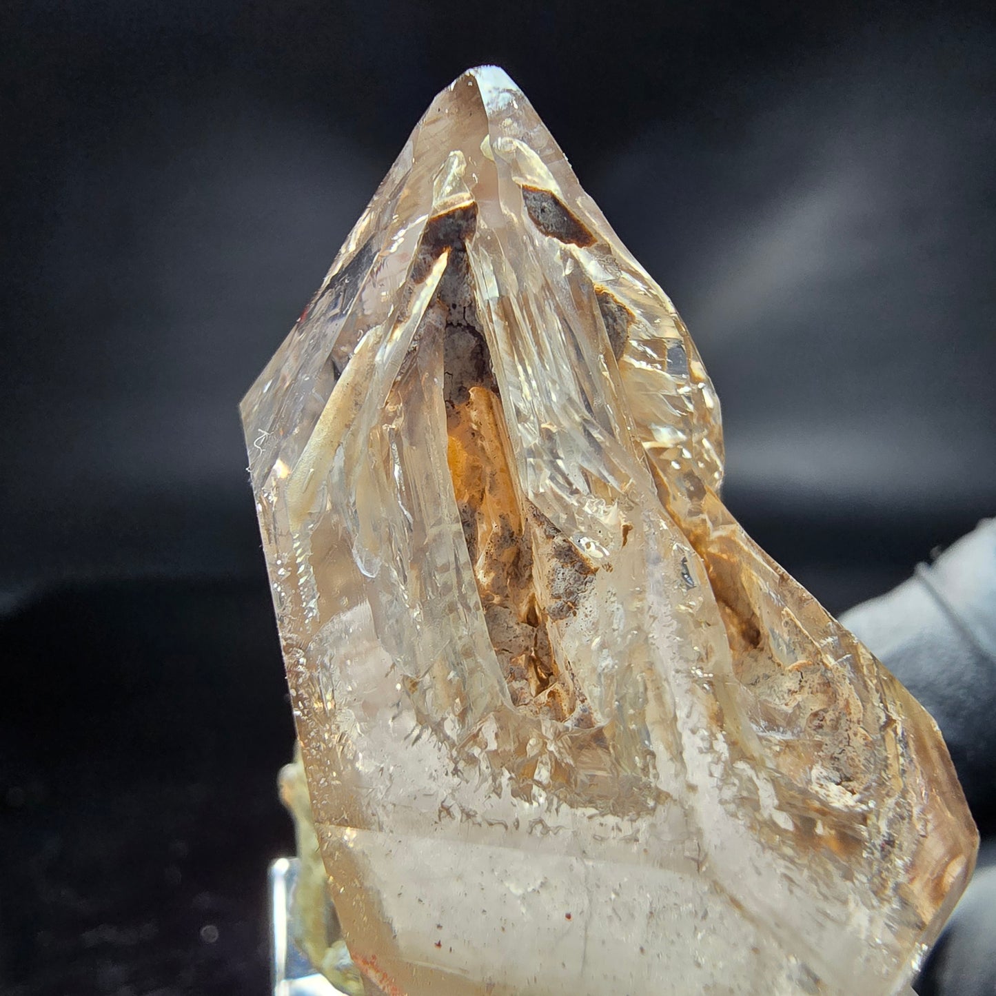 Enhydro Phantom Rauchquarz Zepter Fenster Quarz Goboboseb, Namibia 47*39*22mm