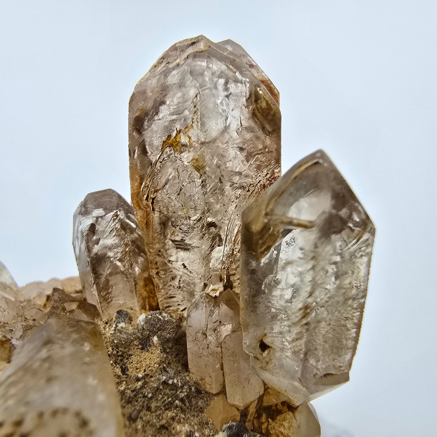 Enhydro Phantom Rauchquarz Zepter auf Matrix Goboboseb, Namibia 67*60*37mm