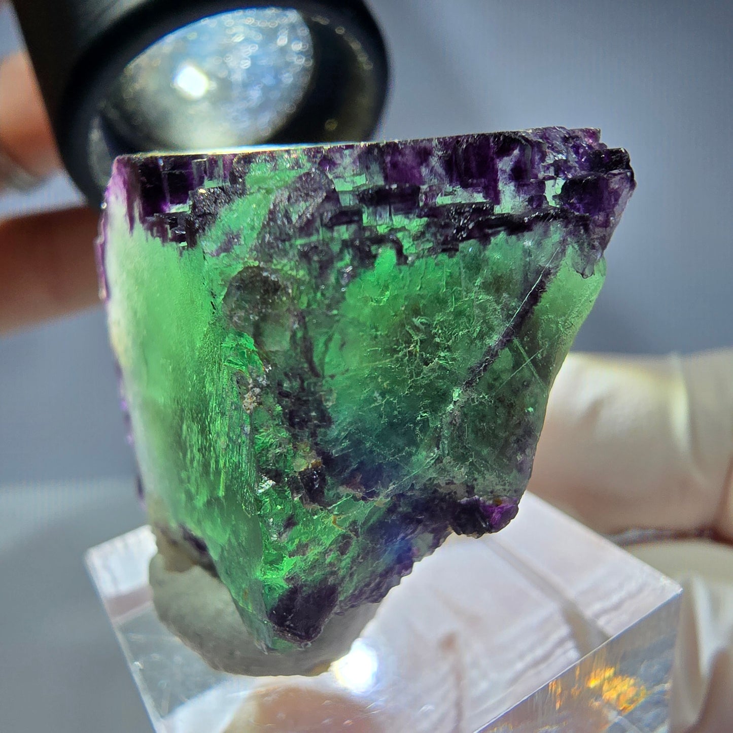 Spécimen de cube de fluorite fantôme, parqueté, zonal Okorusu, Namibie 36*27*20 mm