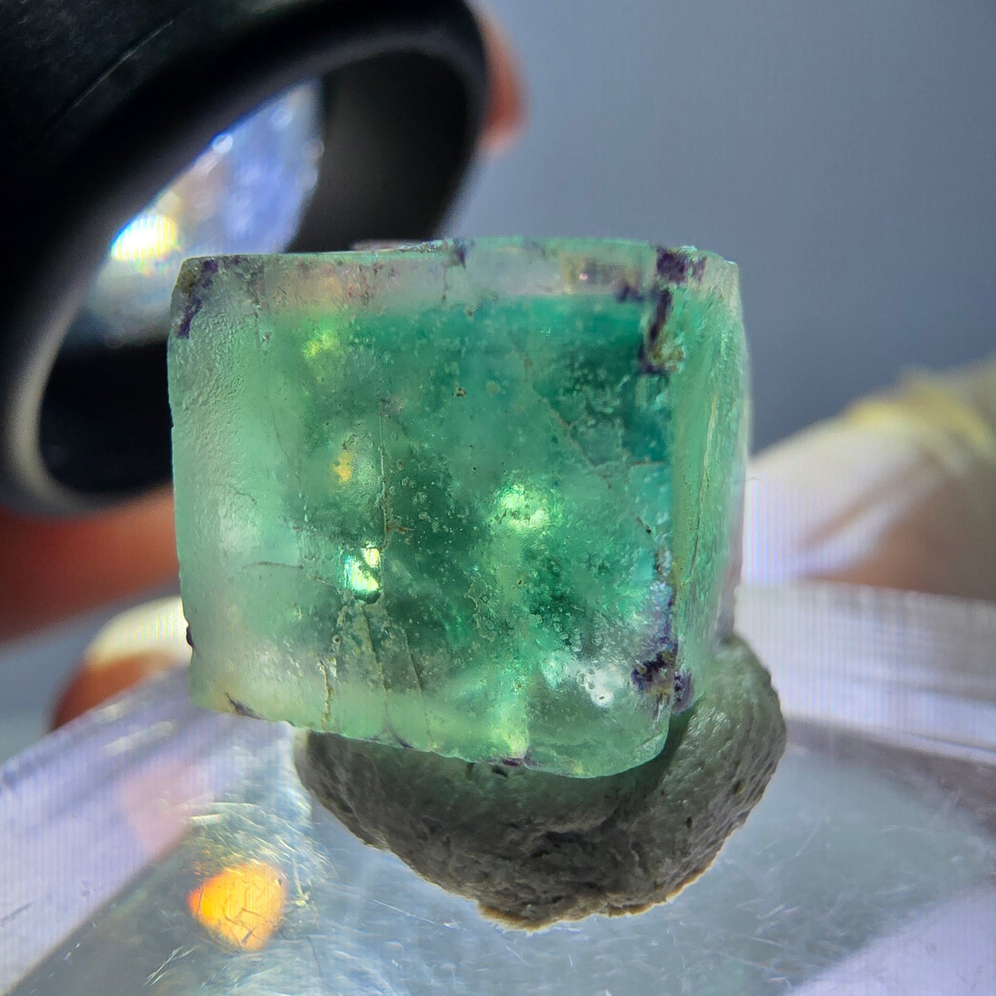 Phantom Fluorit Würfel parkettiert, grün lila Okorusu, Namibia 12*12*12mm