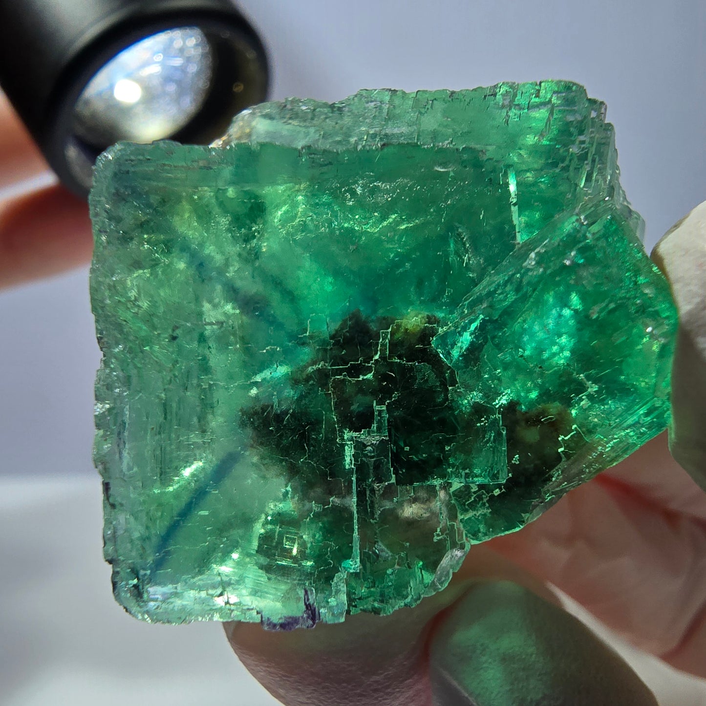 Klare Phantom Fluorit Würfel Stufe, parkettiert grün Okorusu, Namibia 43*33*25mm
