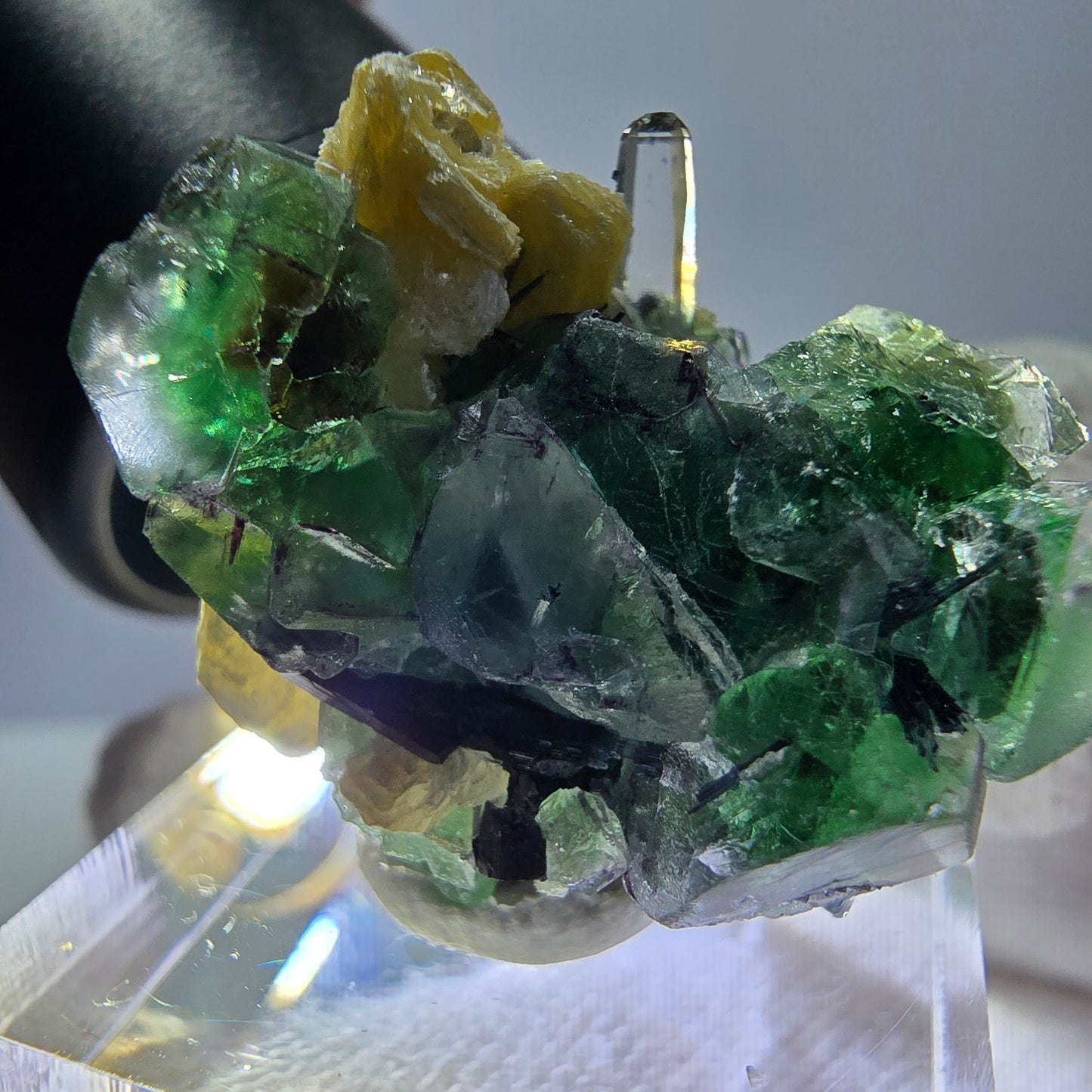 Spécimen de fluorite fantôme, tourmaline Schorl et quartz fumé, Erongo, Namibie, 30 x 22 x 22 mm