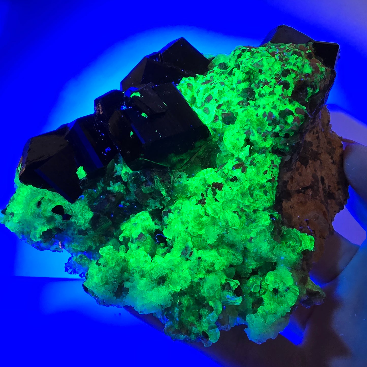 Grand spécimen de tourmaline Schorl, hyalite, quartz fumé et orthose, Erongo, Namibie, 123 x 92 x 47 mm