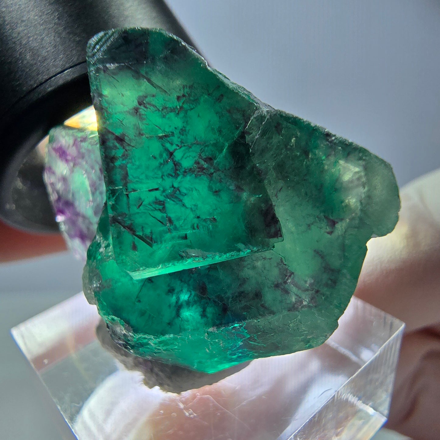 Phantom Fluorit Würfel Stufe, parkettiert grün lila Okorusu, Namibia 37*27*19mm