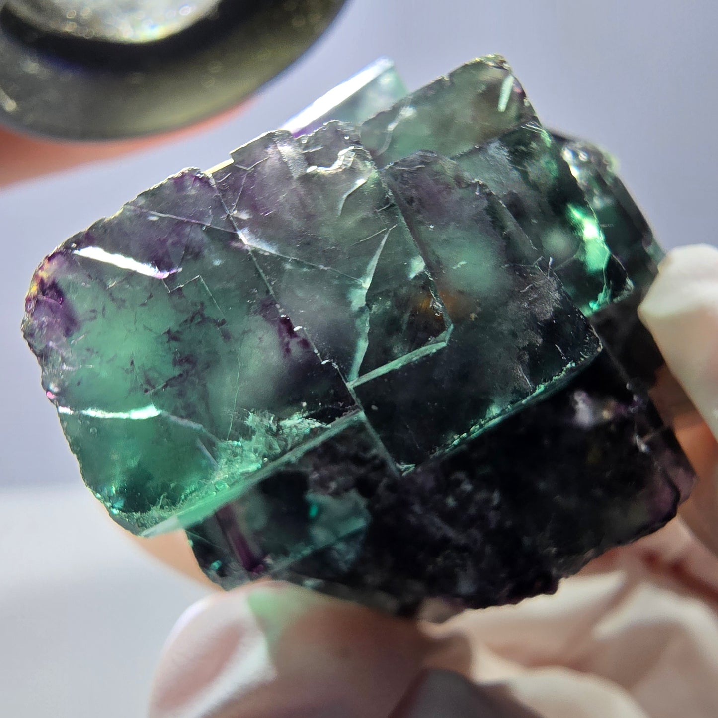 Spécimen de cube de fluorite fantôme parqueté vert violet Okorusu, Namibie 45*42*35 mm