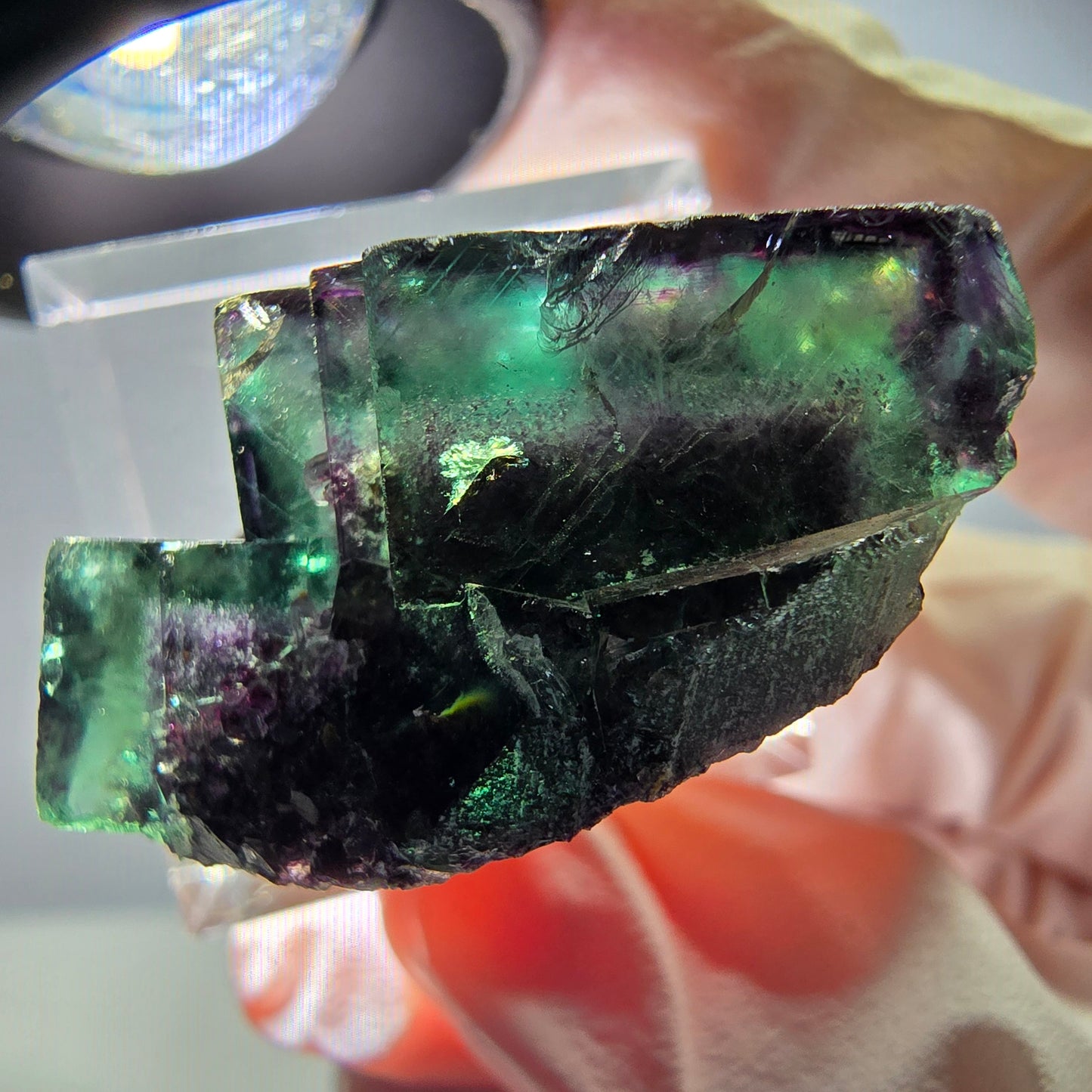 Spécimen rare de cube de fluorite, vert violet, Okorusu, Namibie, 30 x 24 x 17 mm